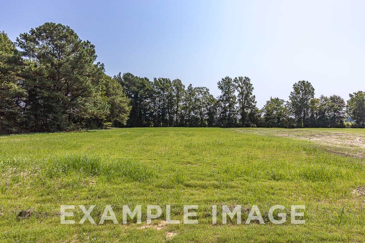 Davidson Homes The Chestnut Lot with Grass and Trees