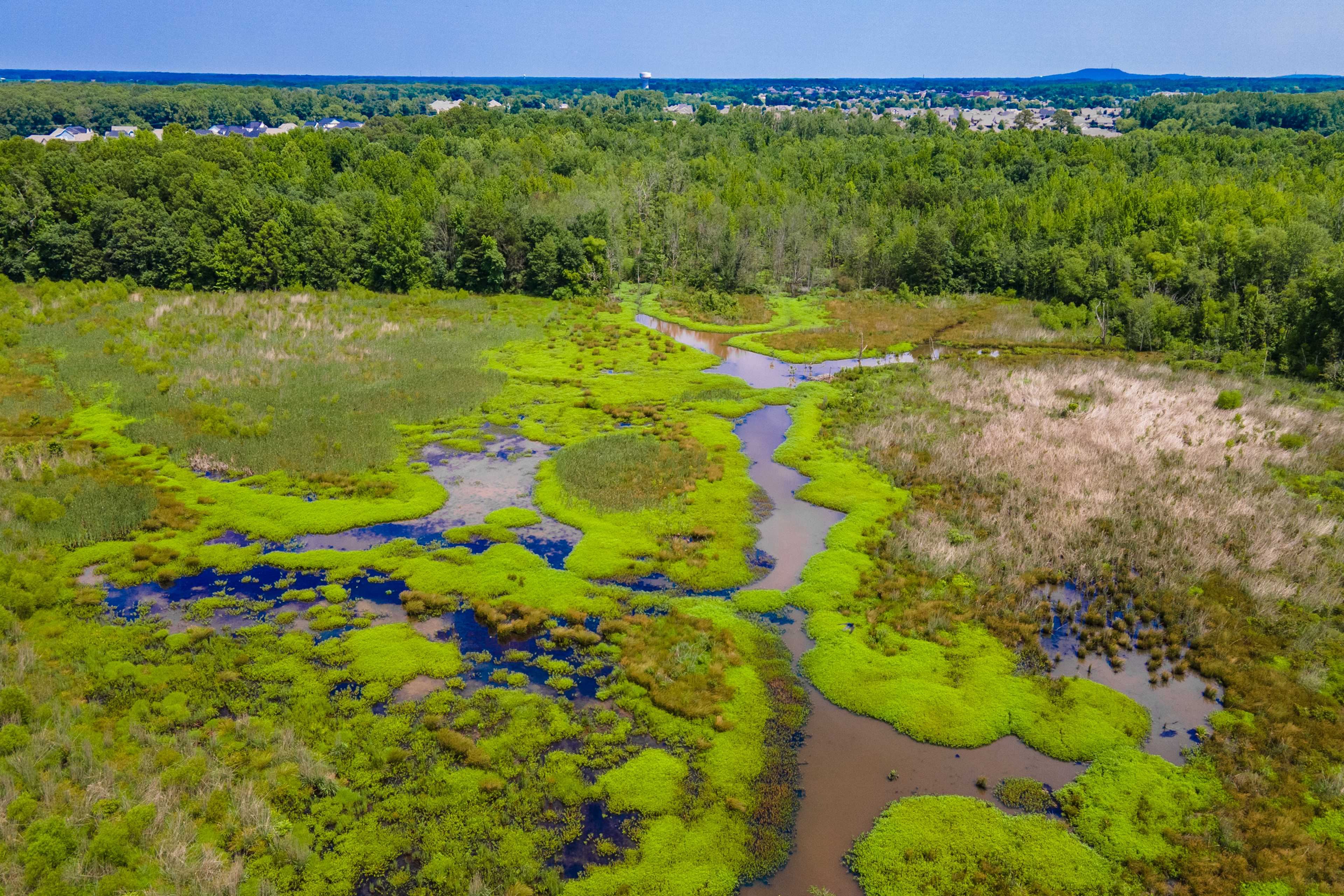 Aerial view of lush green wetlands with winding streams at Barnett's Crossing in Madison, Alabama
