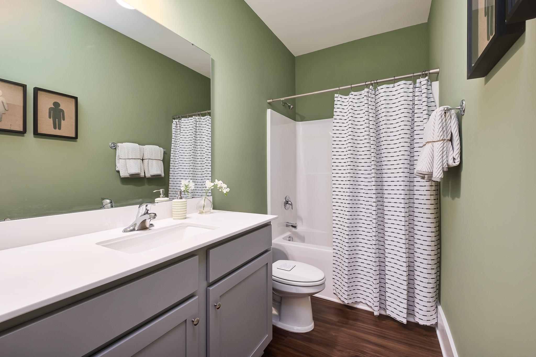 Contemporary bathroom with green walls, white subway tile shower, gray cabinetry, and hardwood floors in Magnolia Preserve, Hartselle Alabama
