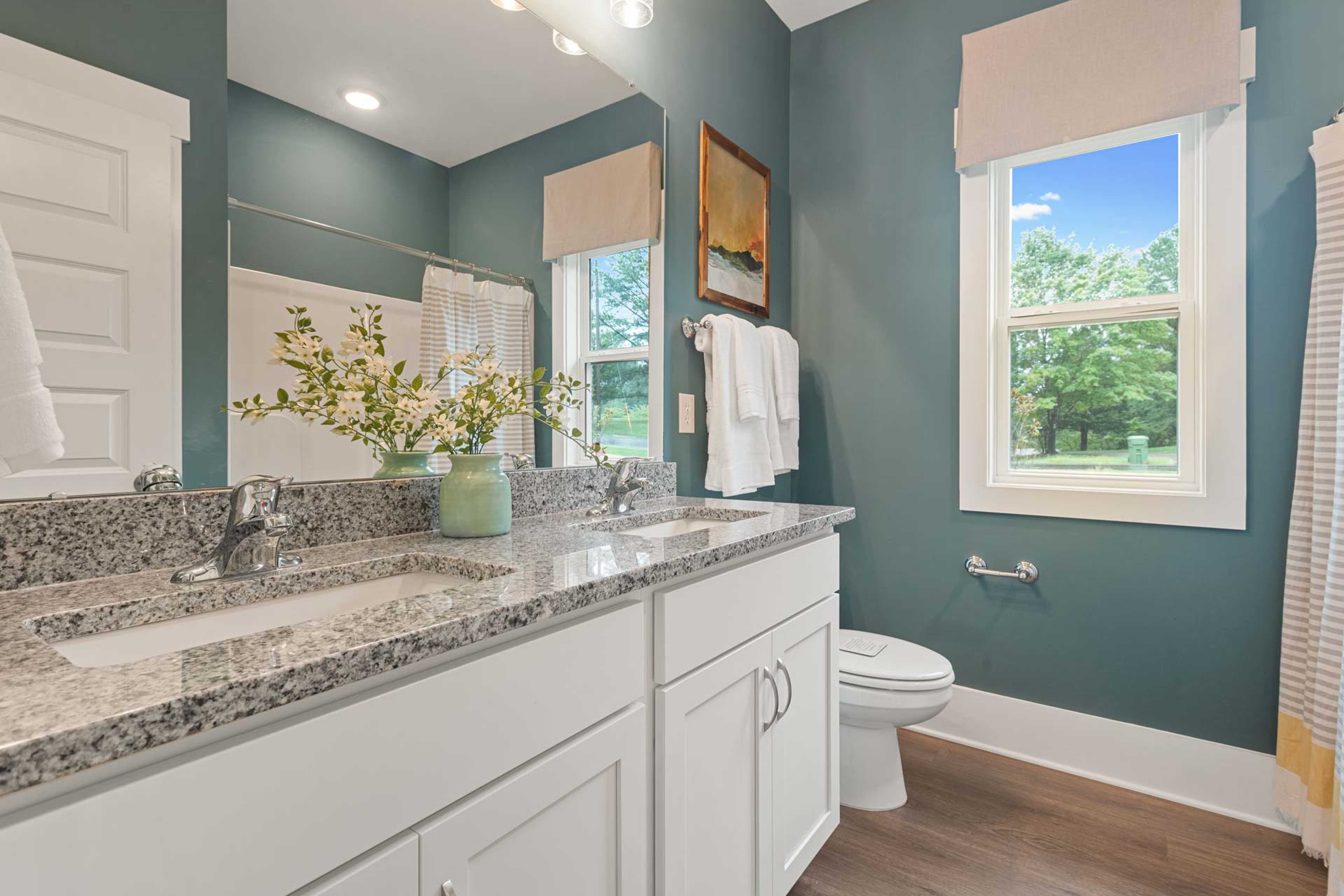 Teal primary bathroom at Monteagle Cove in Owens Cross Roads AL with double granite vanity, walk-in shower, and tree-view window