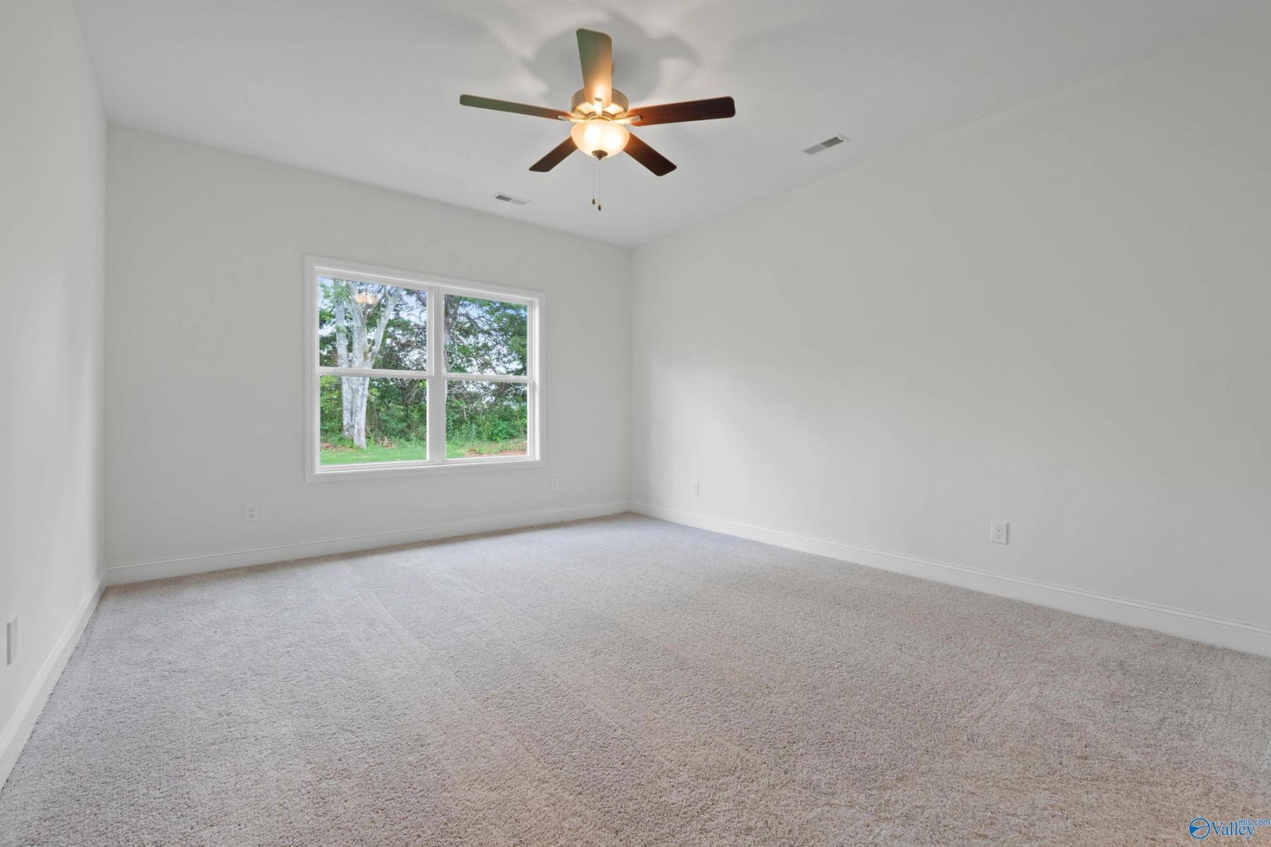 Image 22 of Davidson Homes' New Home at 149 Ivy Vine Drive