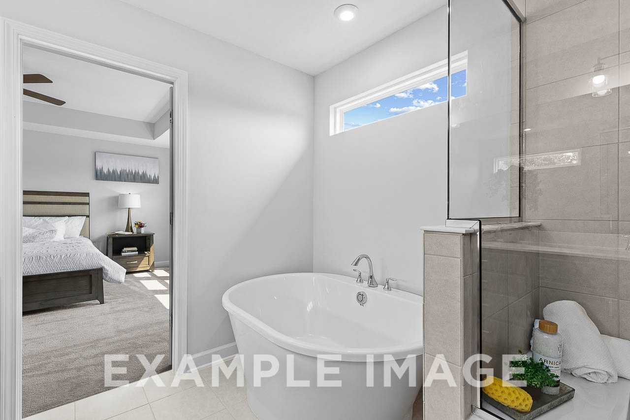 Davidson Homes The Chestnut Plan Master Bathroom with Bathtub and Walk-in Shower