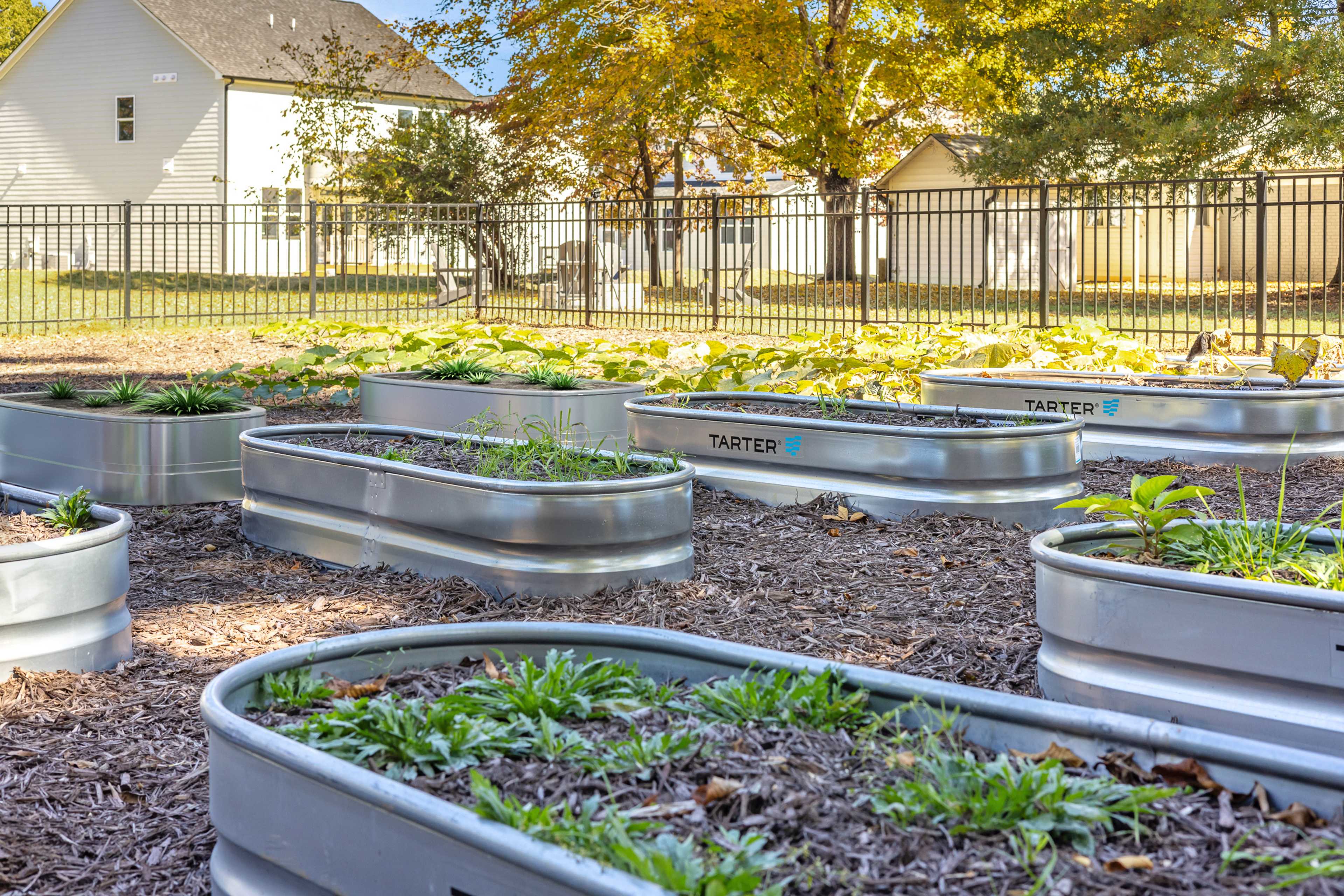 Community raised garden beds with young plants and tater labels at Stagecoach Corner in Mebane, North Carolina