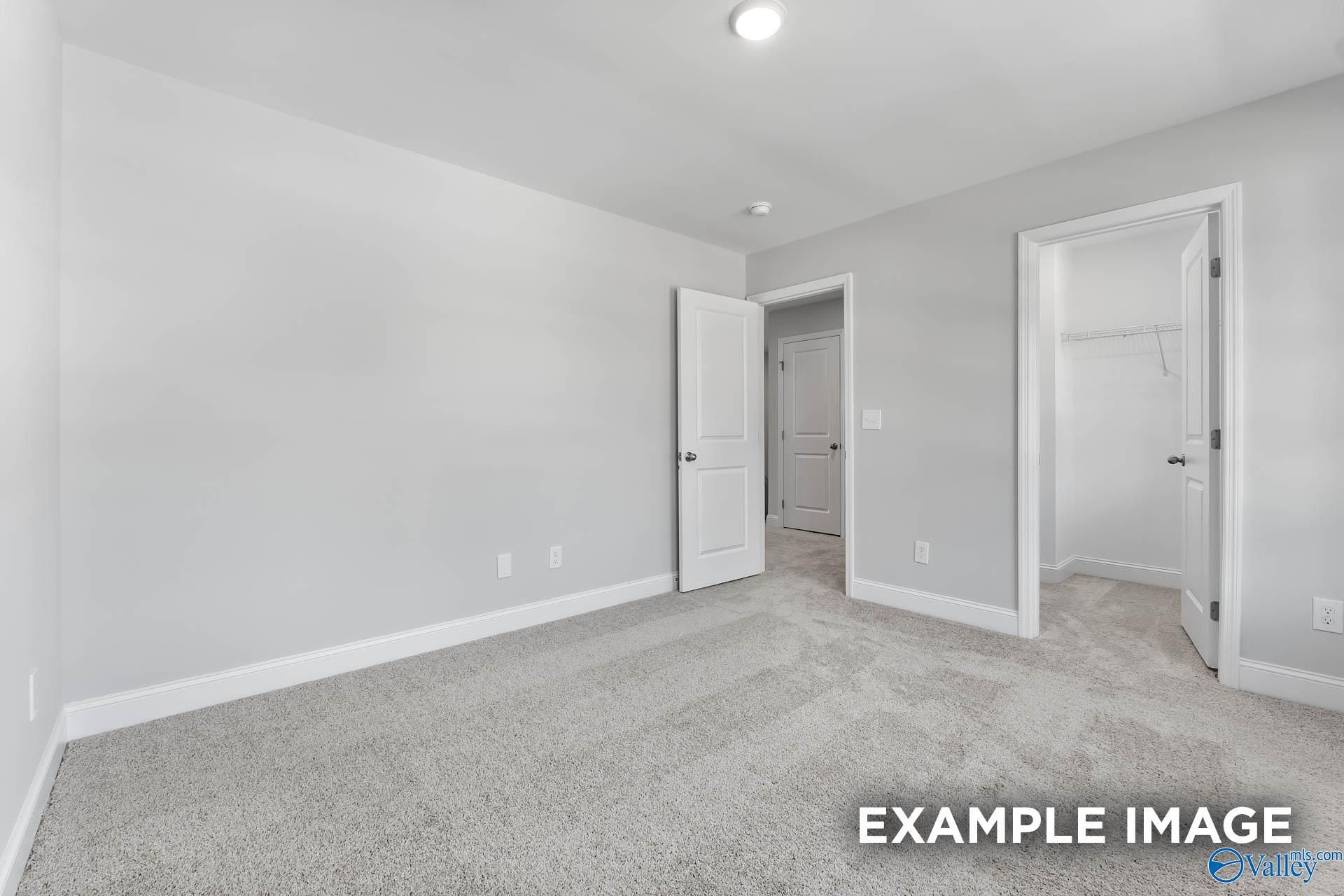Spacious bedroom with walk-in closet, gray walls, and carpeted floor in Davidson Homes The Chelsea D, New Market, Alabama
