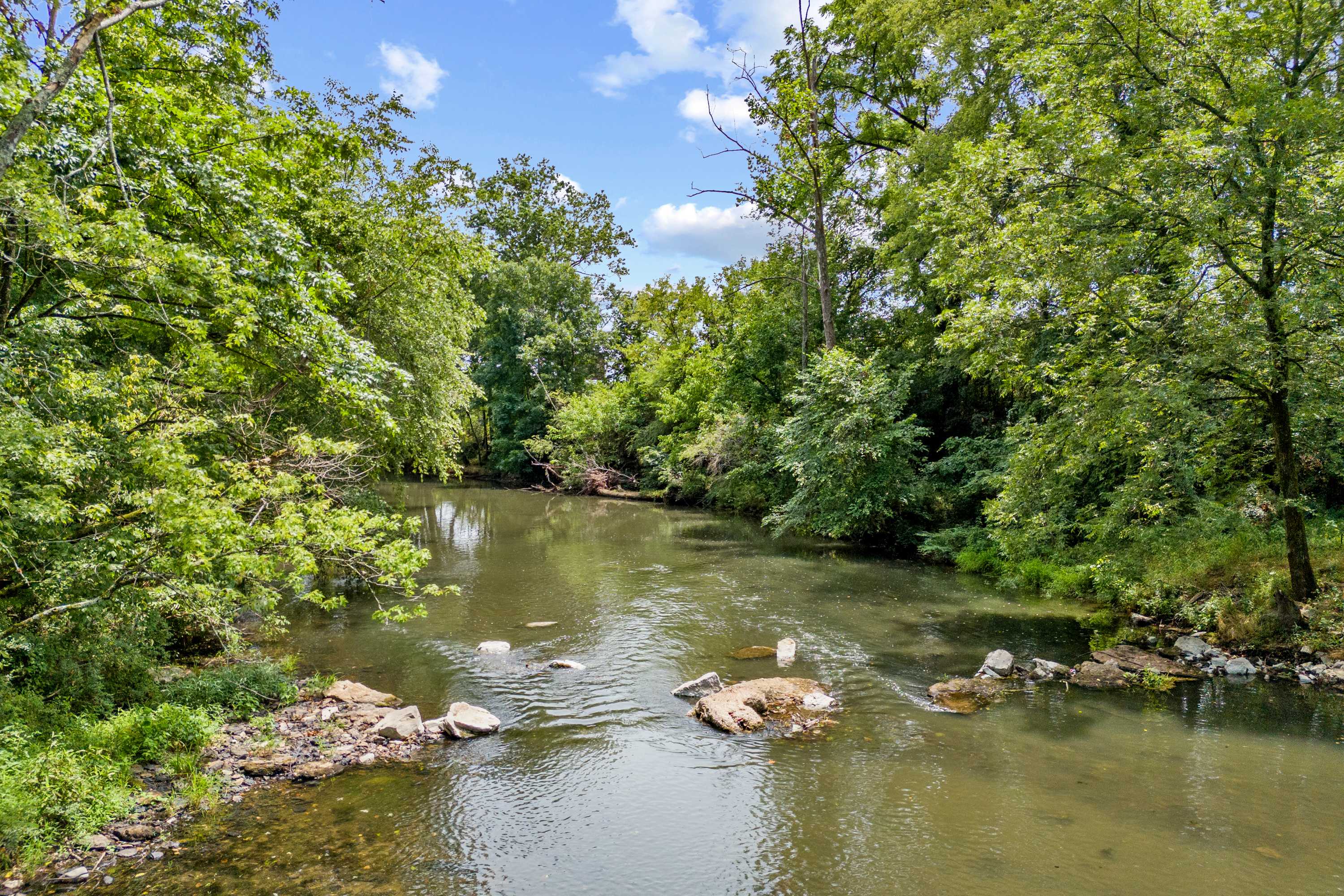 Serene stream with rocks and lush green trees under blue sky at The Meadows in Athens, Alabama
