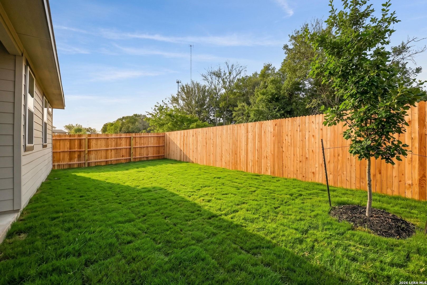 Private backyard with green lawn and wooden privacy fence at a Davidson Homes Glenwood F floor plan in San Antonio, Texas.