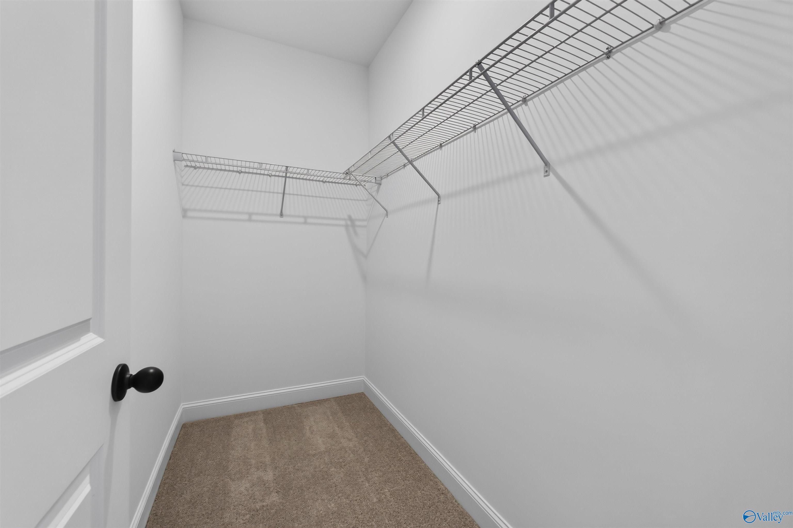 Walk-in closet with wire shelving and carpet in Davidson Homes The Butler 3-bedroom home in Hazel Green, Alabama