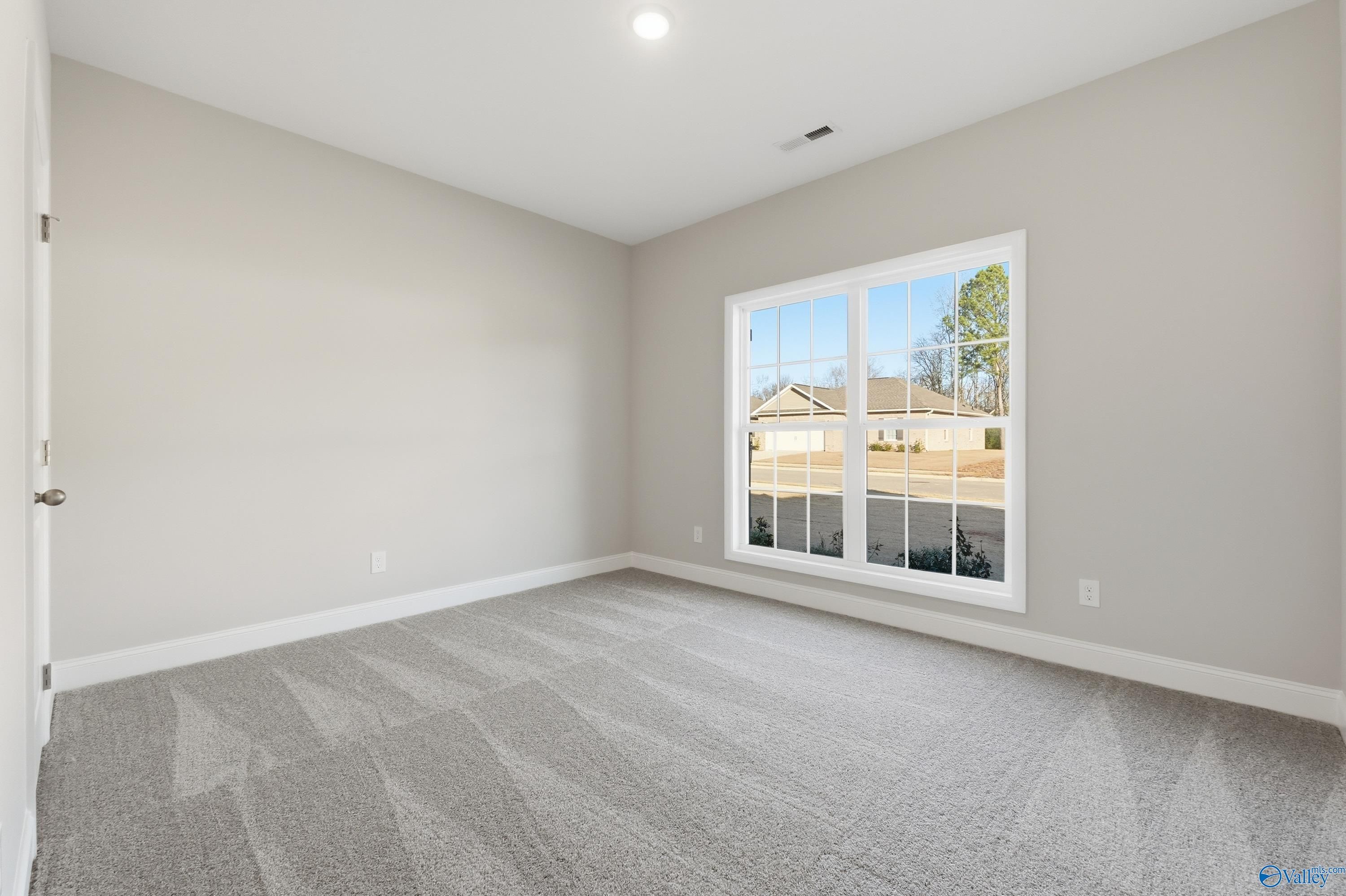 Spacious empty bedroom with gray walls, beige carpet, and large window overlooking trees in The Daphne C, Arab, Alabama