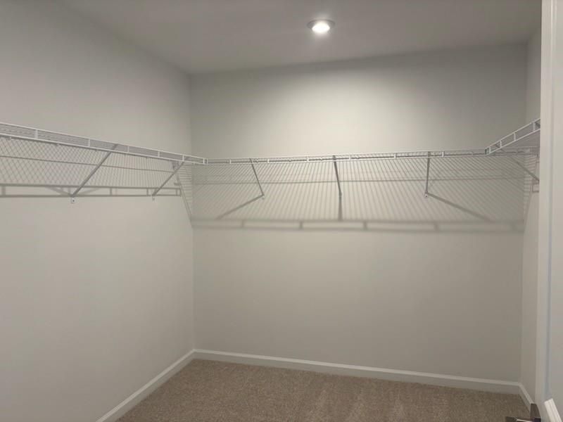 Spacious walk-in closet with wire shelving, white walls, and carpeted floor in Davidson Homes Marion A, Winder, GA