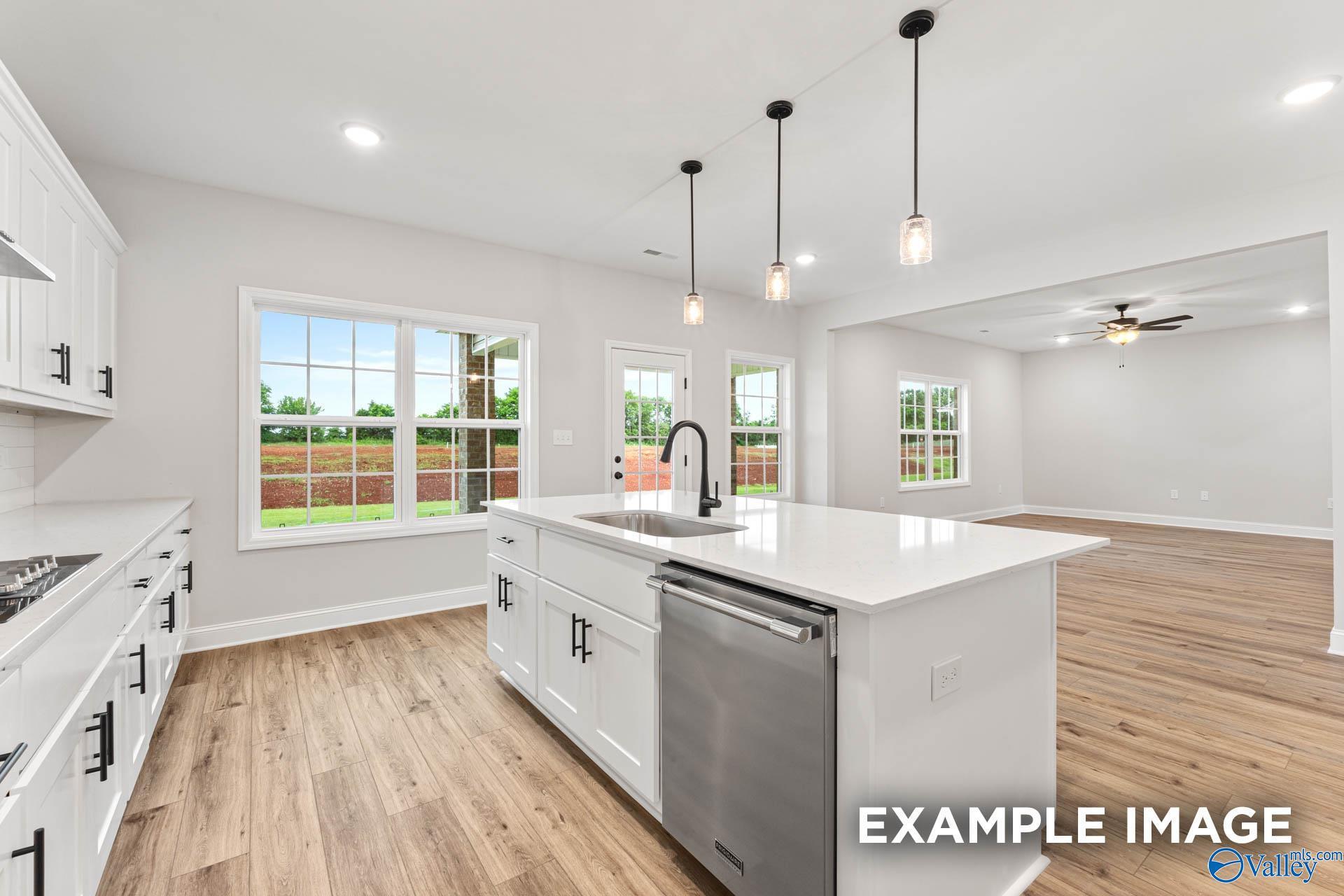 Image 28 of Davidson Homes' New Home at 306 Pone Street
