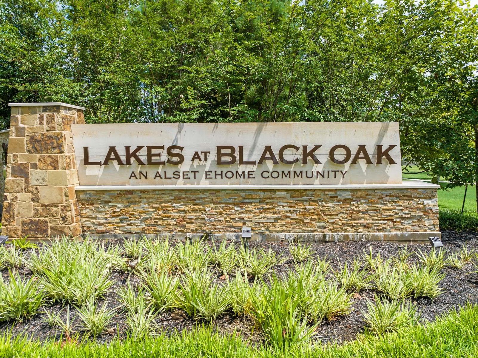 Image 6 of Davidson Homes' New Home at 8610 Blueberry Ash Street
