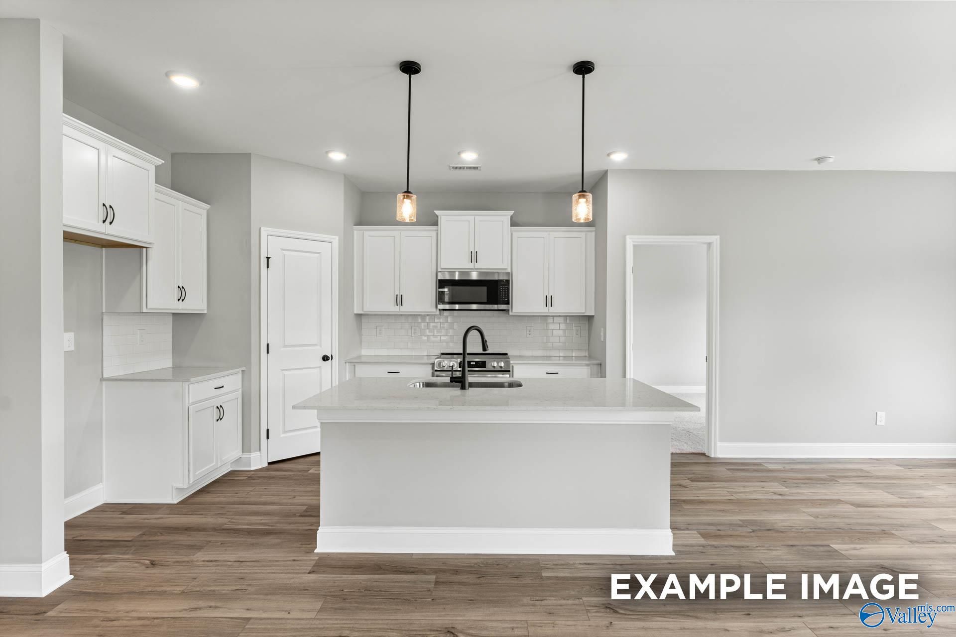 Image 15 of Davidson Homes' New Home at 16664 Demi Drive