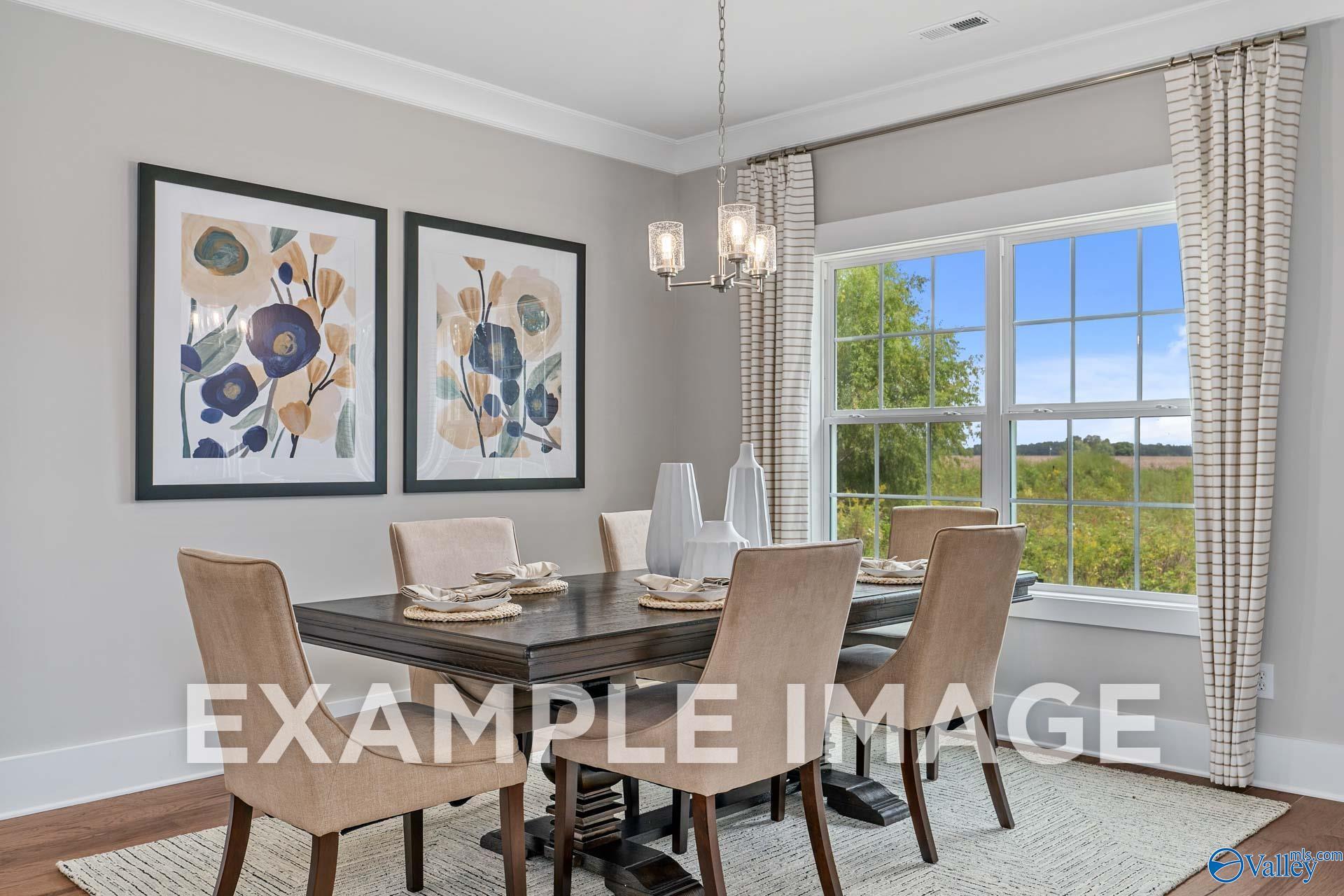 Image 3 of Davidson Homes' New Home at 20902 English Ivy Lane