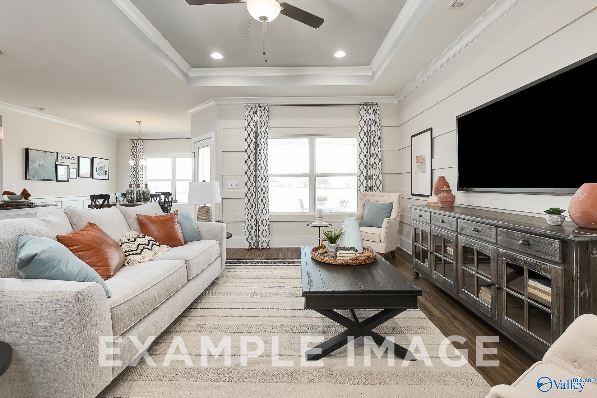 Bright open-concept living room with tray ceiling and shiplap wall in The Everett B floor plan at The Meadows, Athens, AL.