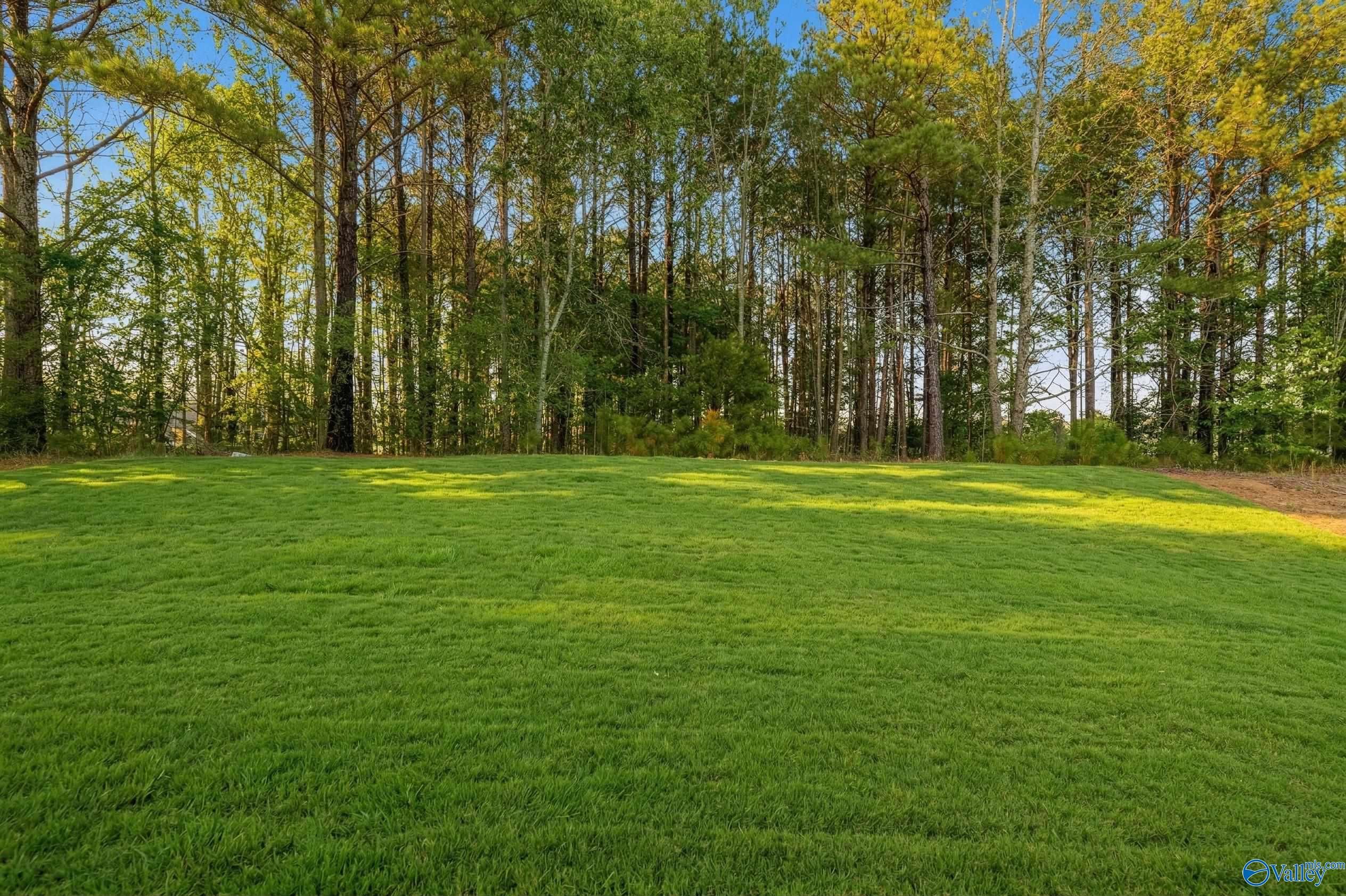 Lush green lawn with tall pine trees and blue sky in wooded backyard of 3-bedroom Davidson Homes The Asheville C, Arab, Alabama