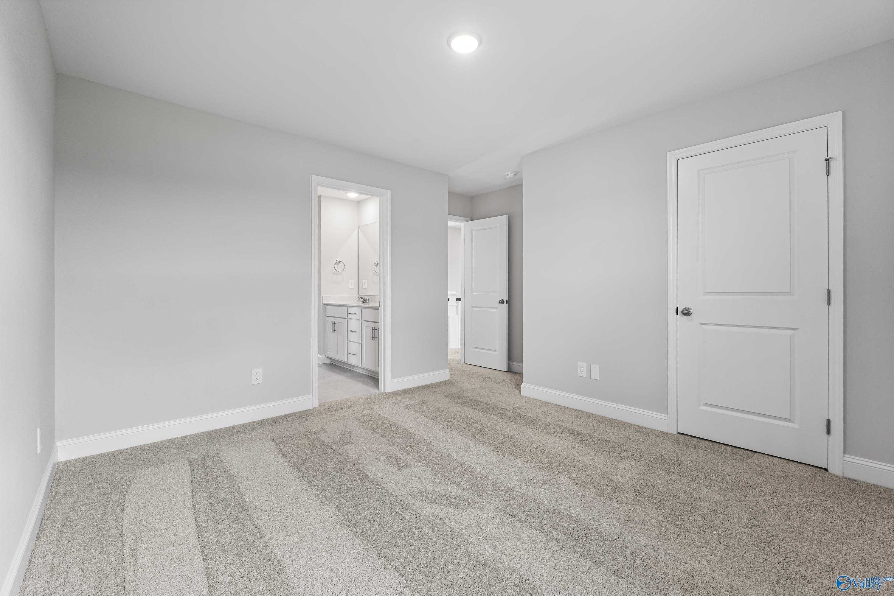 Spacious gray bedroom with en-suite bath, vanity, and carpet flooring in Davidson Homes The Madison A, Toney, Alabama