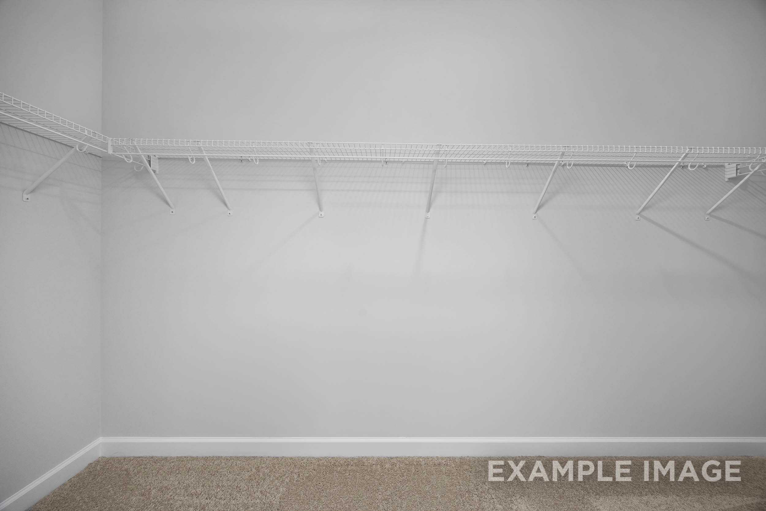 Spacious walk-in closet in The Daphne C master suite with white rods, shelves on gray walls, neutral carpet floor