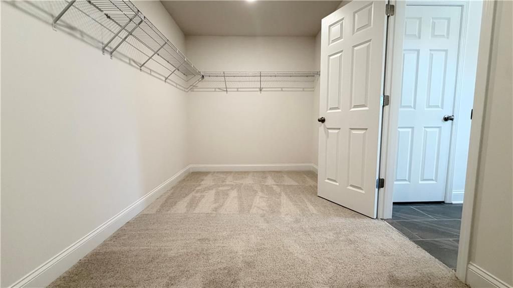 Walk-in closet with wire shelving and carpeted floors in The Hickory C floor plan at Wehunt Meadows, Hoschton, Georgia.