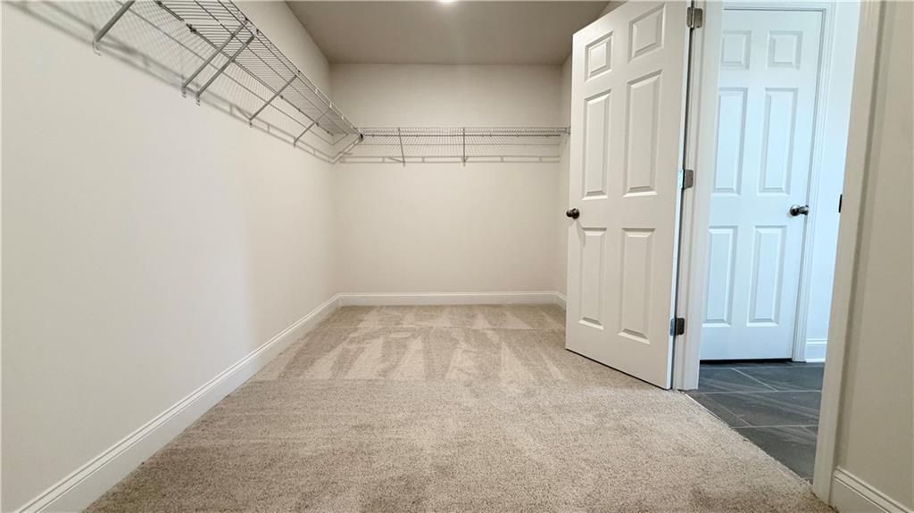 Walk-in closet with wire shelving and carpeted floors in The Hickory C floor plan at Wehunt Meadows, Hoschton, Georgia.