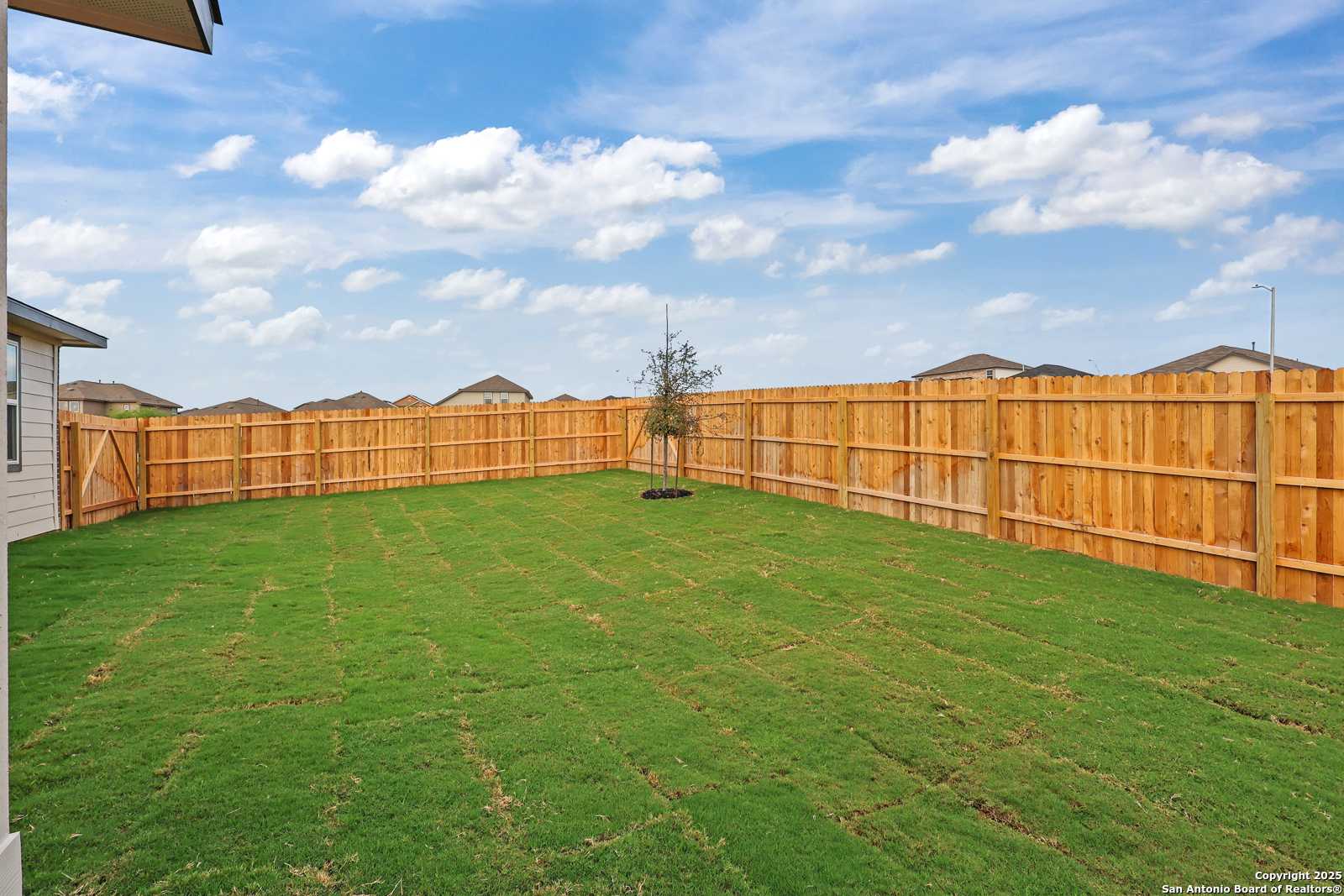 Private backyard with lush green lawn, wooden privacy fence, young tree, and blue sky in Comanche Ridge, San Antonio, Texas