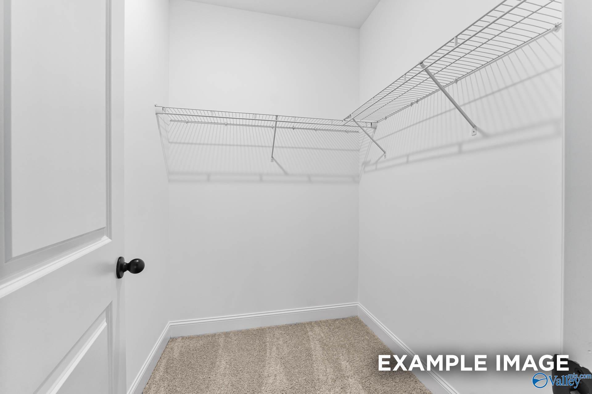 Spacious walk-in closet with wire shelving in master suite of Davidson Homes The Asheville C, Hazel Green, Alabama