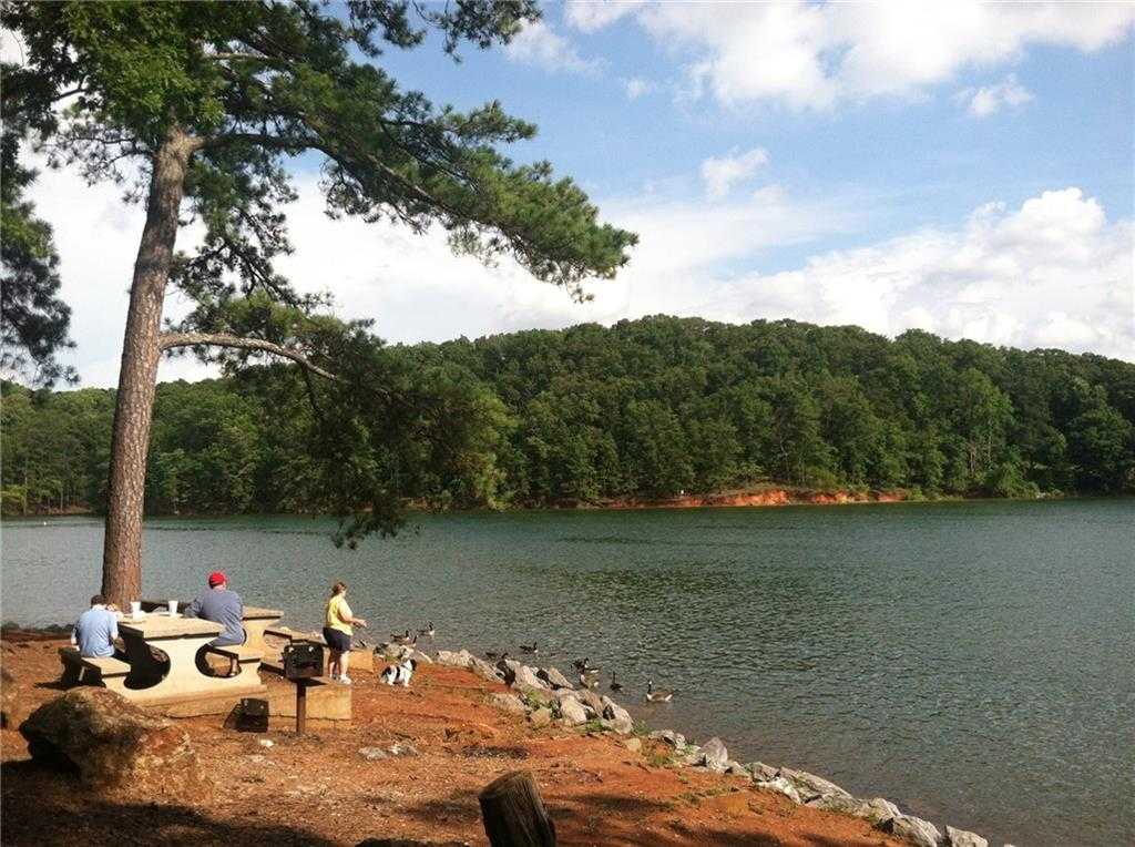Family picnicking and fishing by serene lakeside with pine trees in Stegall Village, Emerson, Georgia