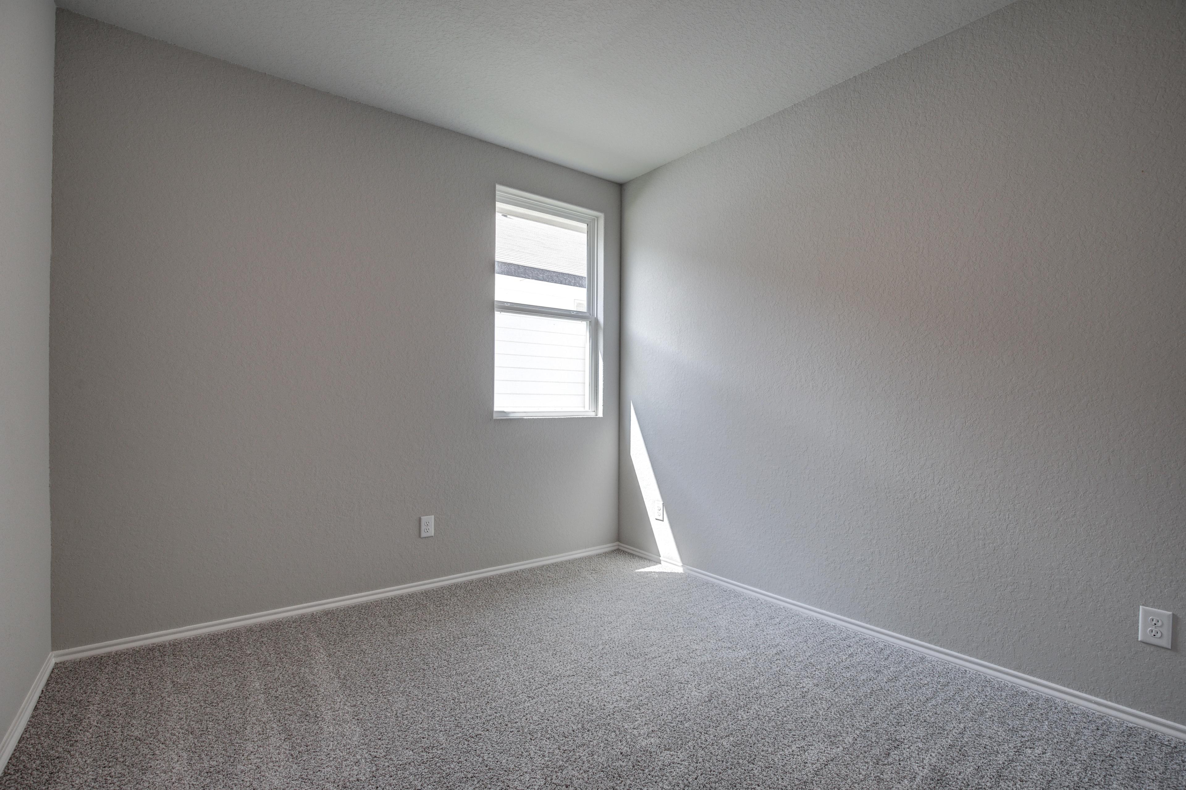 Spacious bedroom in The Asheville home design with gray walls, carpet floor, and sunlit window with blinds