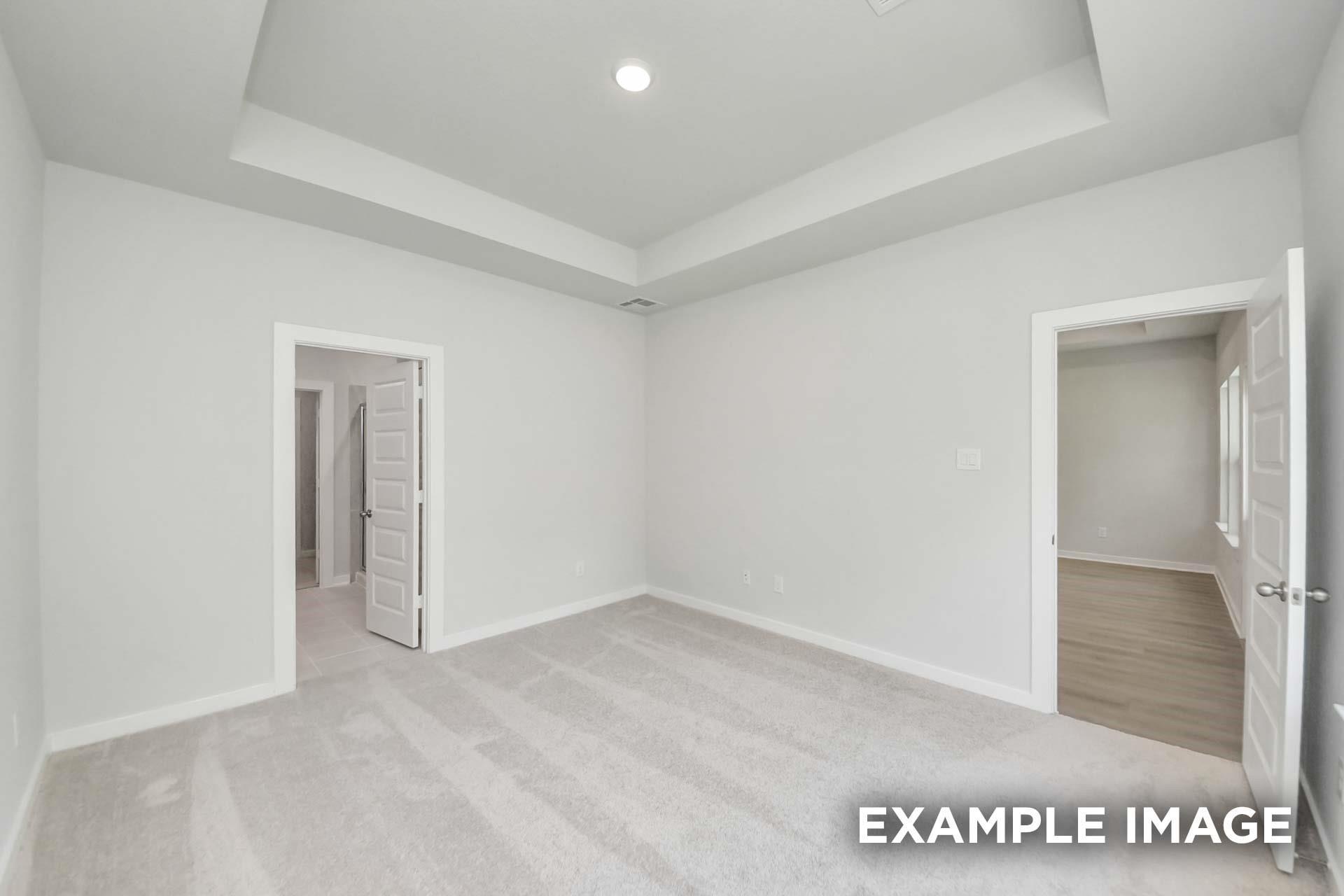 Bright primary bedroom with tray ceiling and plush carpet, adjoining bath and walk-in closet, in Davidson Homes Blanco E plan
