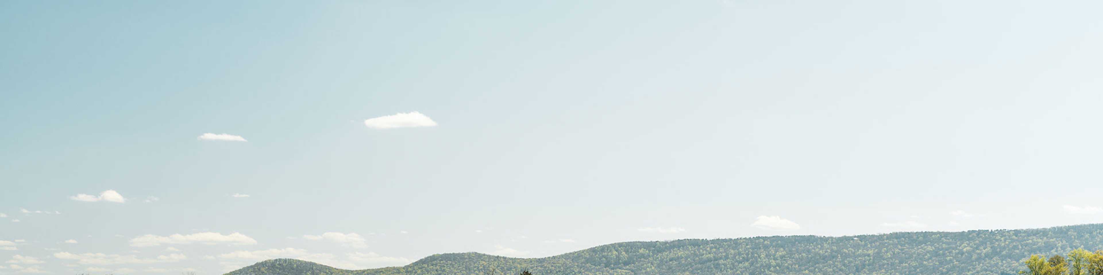 Hampton Cove Skyline