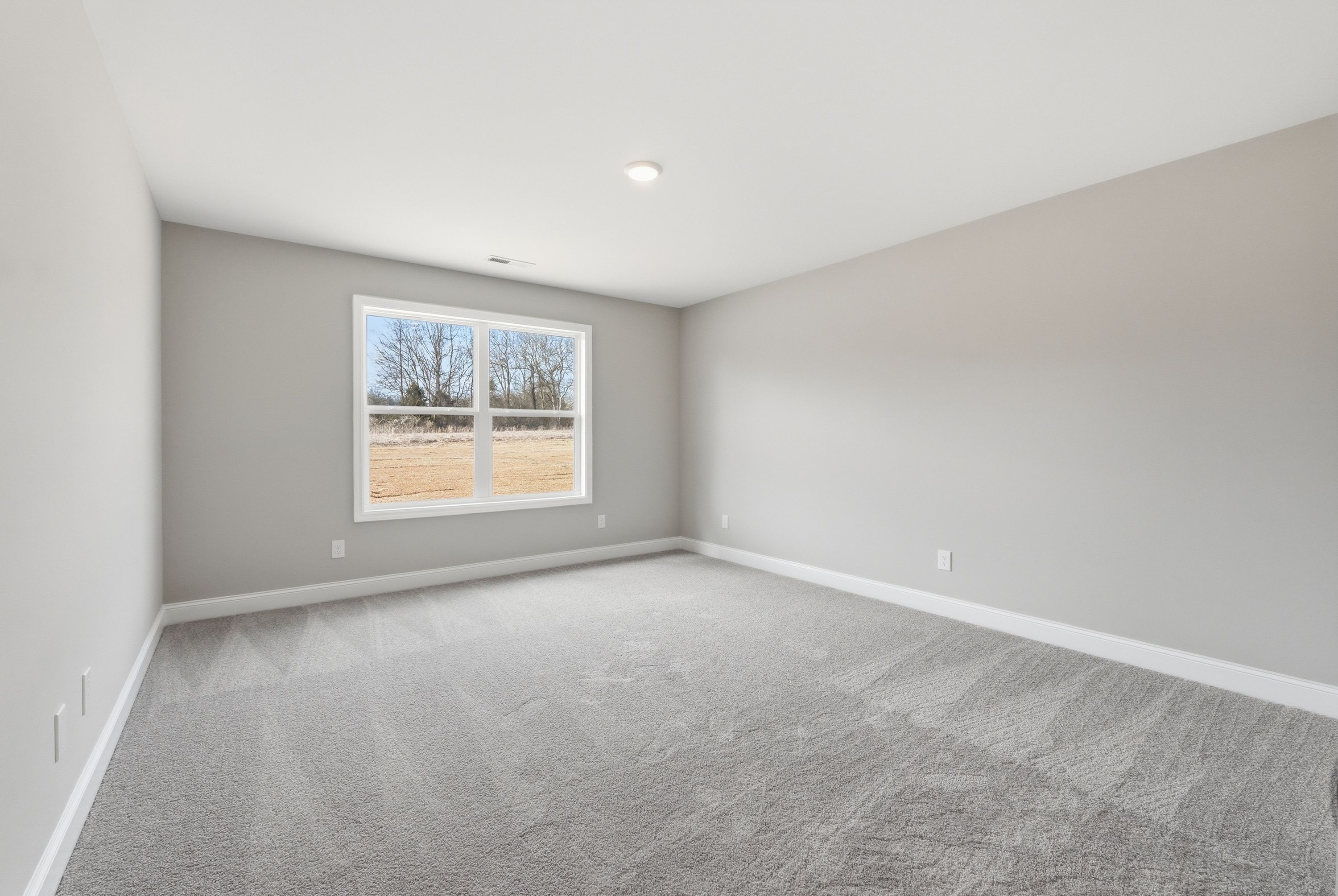 Spacious empty bedroom in The Daphne V featuring light gray walls, plush gray carpet, and large window with wooded view