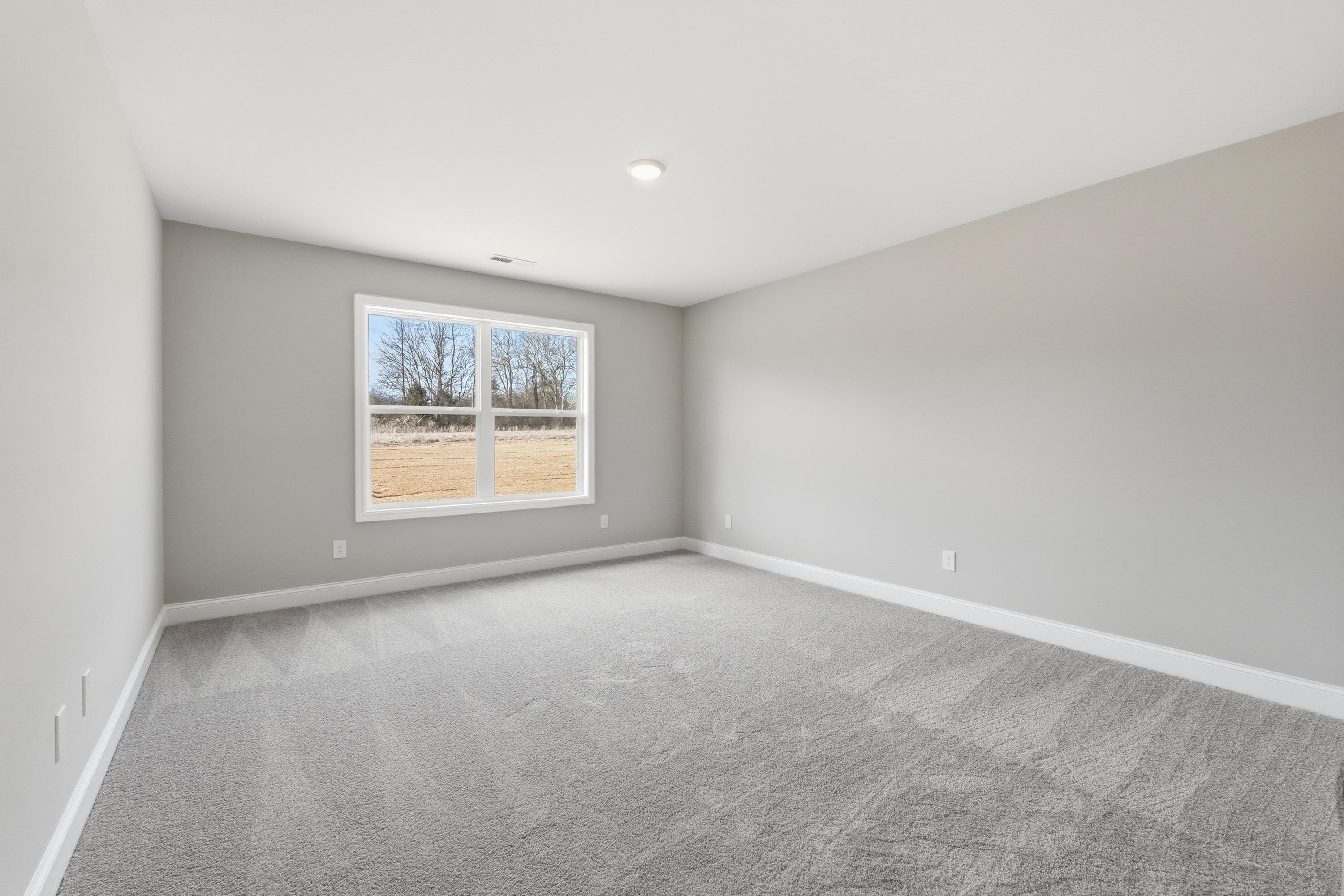 Spacious empty bedroom in The Daphne V featuring light gray walls, plush gray carpet, and large window with wooded view
