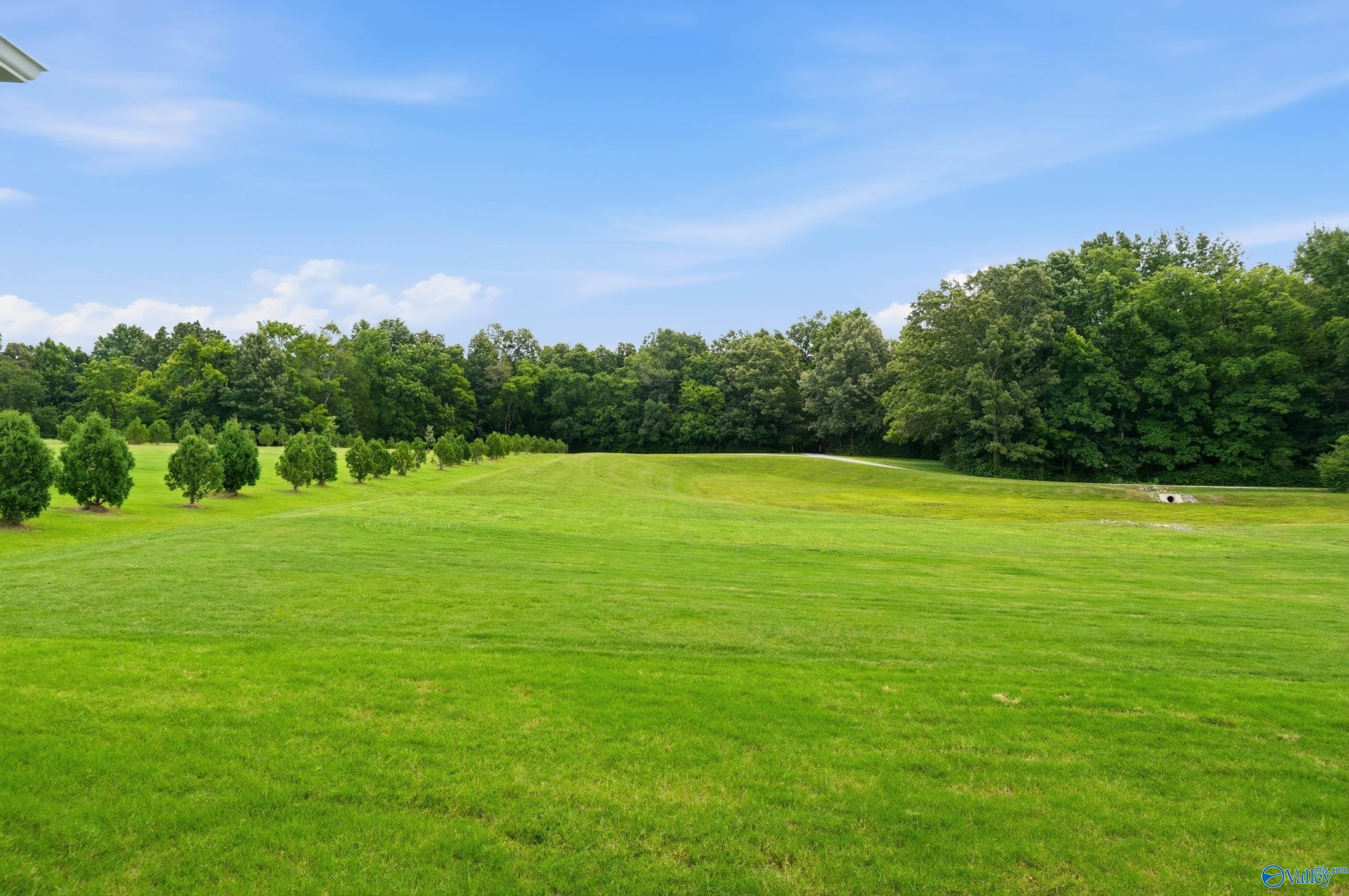 Expansive green backyard with row of young trees in Riverton Preserve community, Huntsville, Alabama.