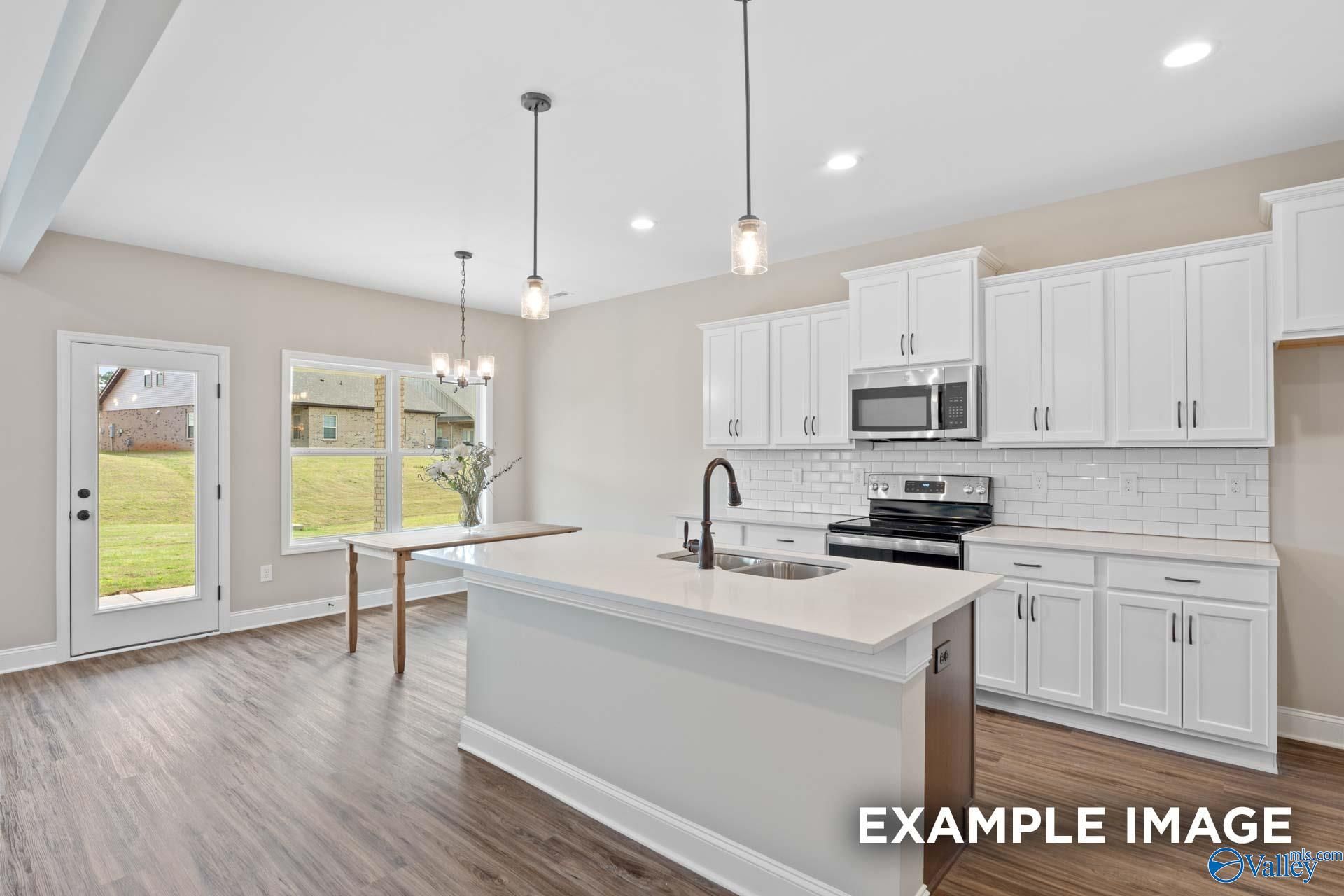 Image 2 of Davidson Homes' New Home at 355 Creek Grove Avenue