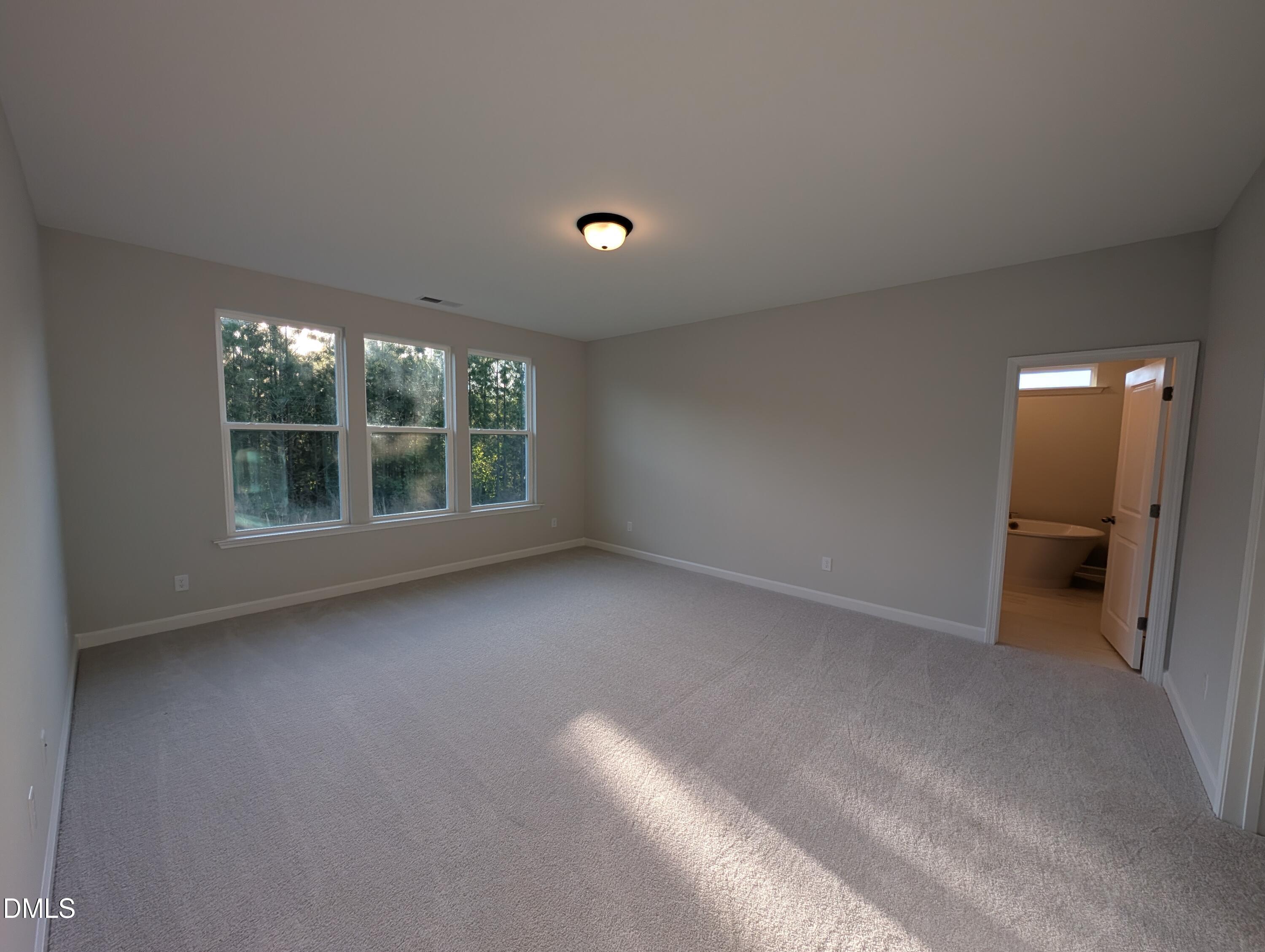 Image 17 of Davidson Homes' New Home at 825 Diana Victoria Court