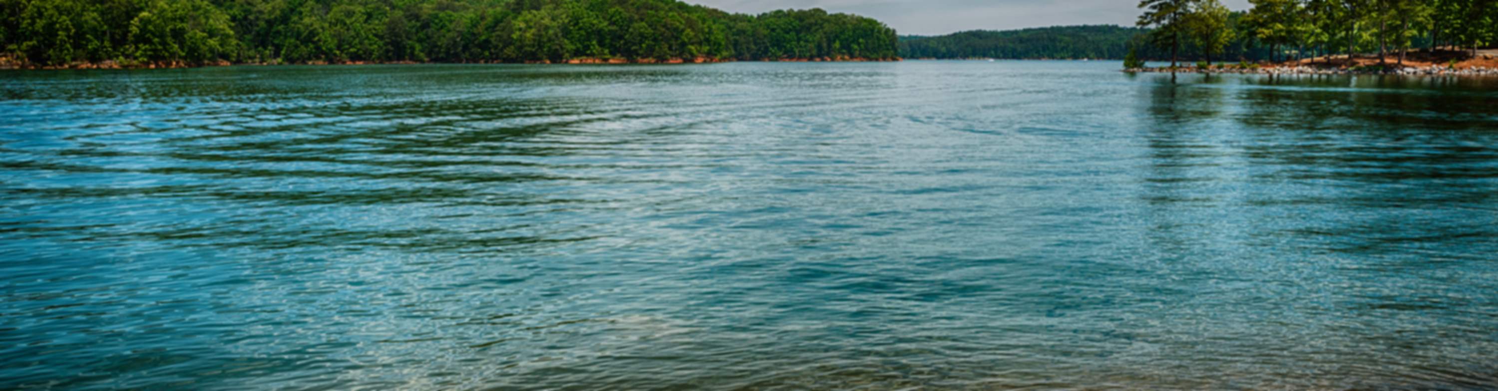 Scenic lake with clear blue waters, rocky shoreline, lush green hills, and pine trees in Emerson community