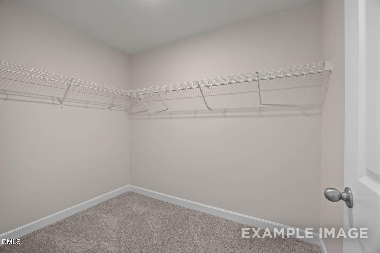 Spacious walk-in closet with white wire shelving, beige walls, and carpeted floor in Davidson Homes The Graham, Fuquay-Varina, NC