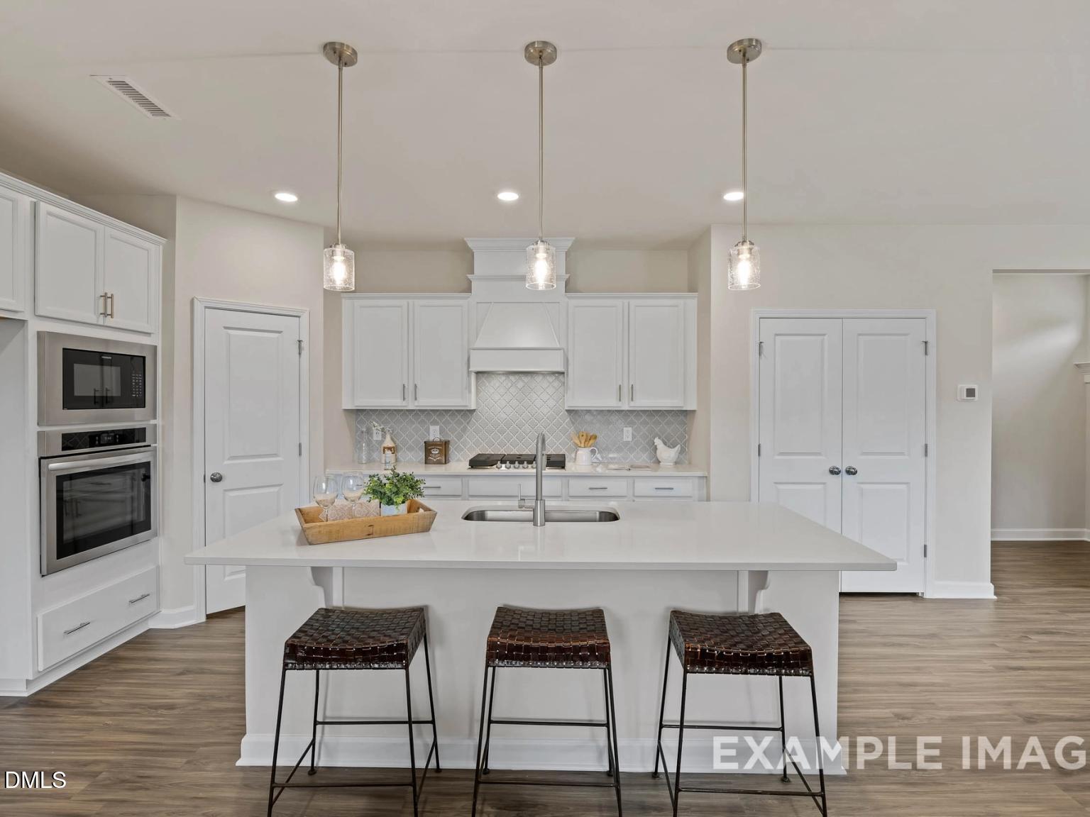 Image 3 of Davidson Homes' New Home at 901 Diana Victoria Court