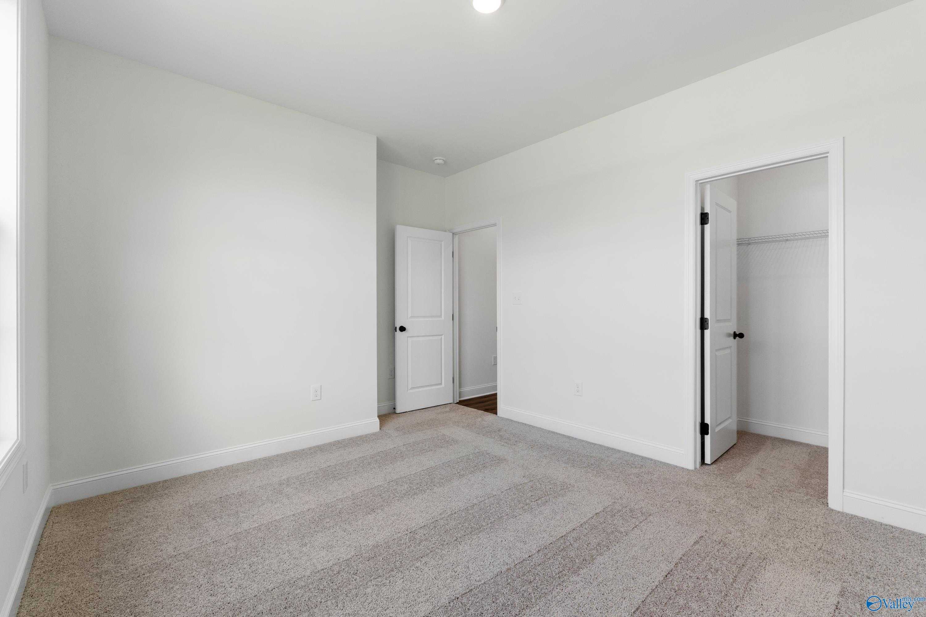Bright empty bedroom with walk-in closet, white walls, and carpet flooring in Davidson Homes The Rockford B, Toney, Alabama