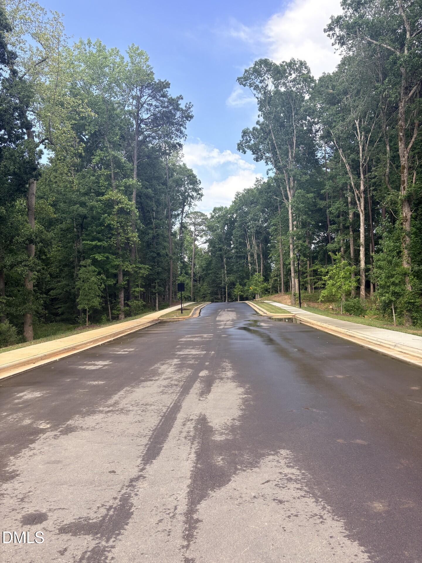 Quiet street leading into a wooded neighborhood at Woodland Crossing in Zebulon, North Carolina.