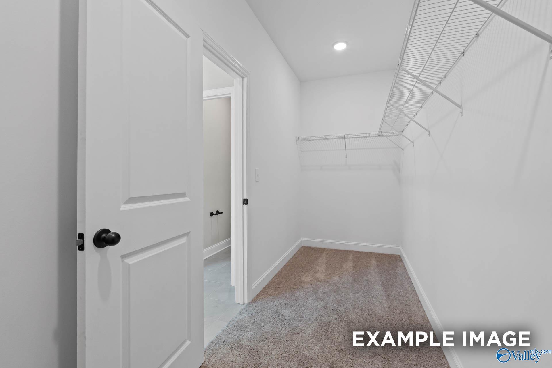 Walk-in closet with wire shelving and carpet in The Montgomery B floor plan by Davidson Homes in Decatur, Alabama.