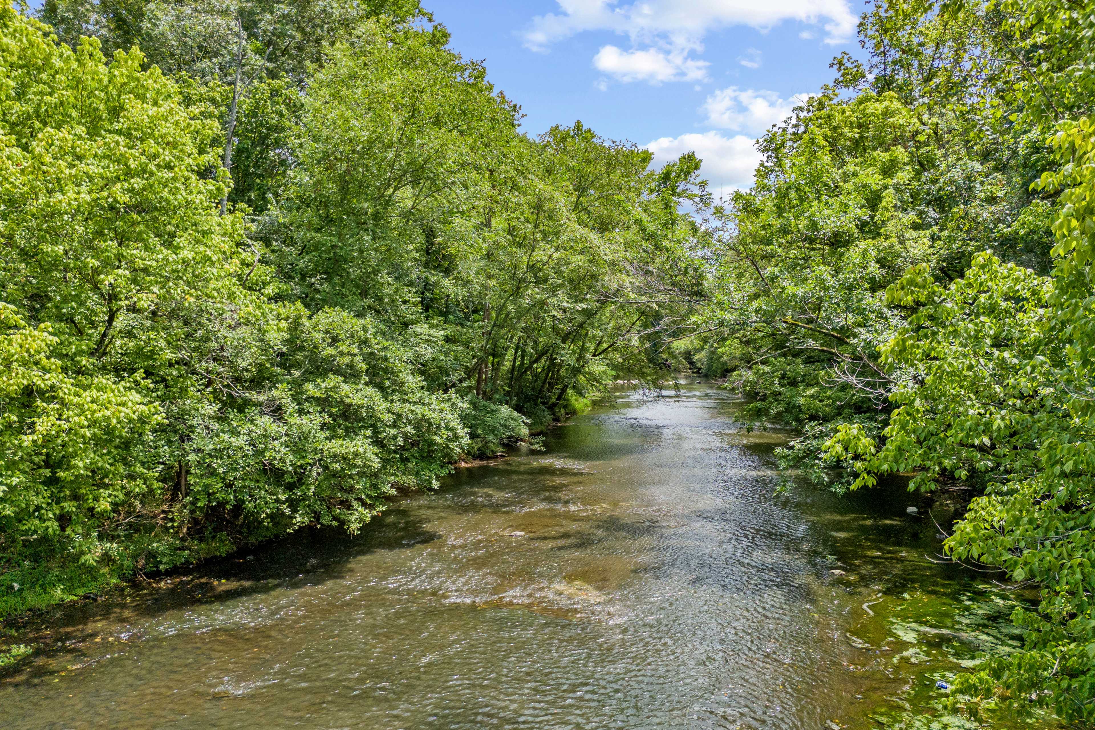 Serene creek flowing through lush green trees at The Meadows in Athens Alabama under partly cloudy skies