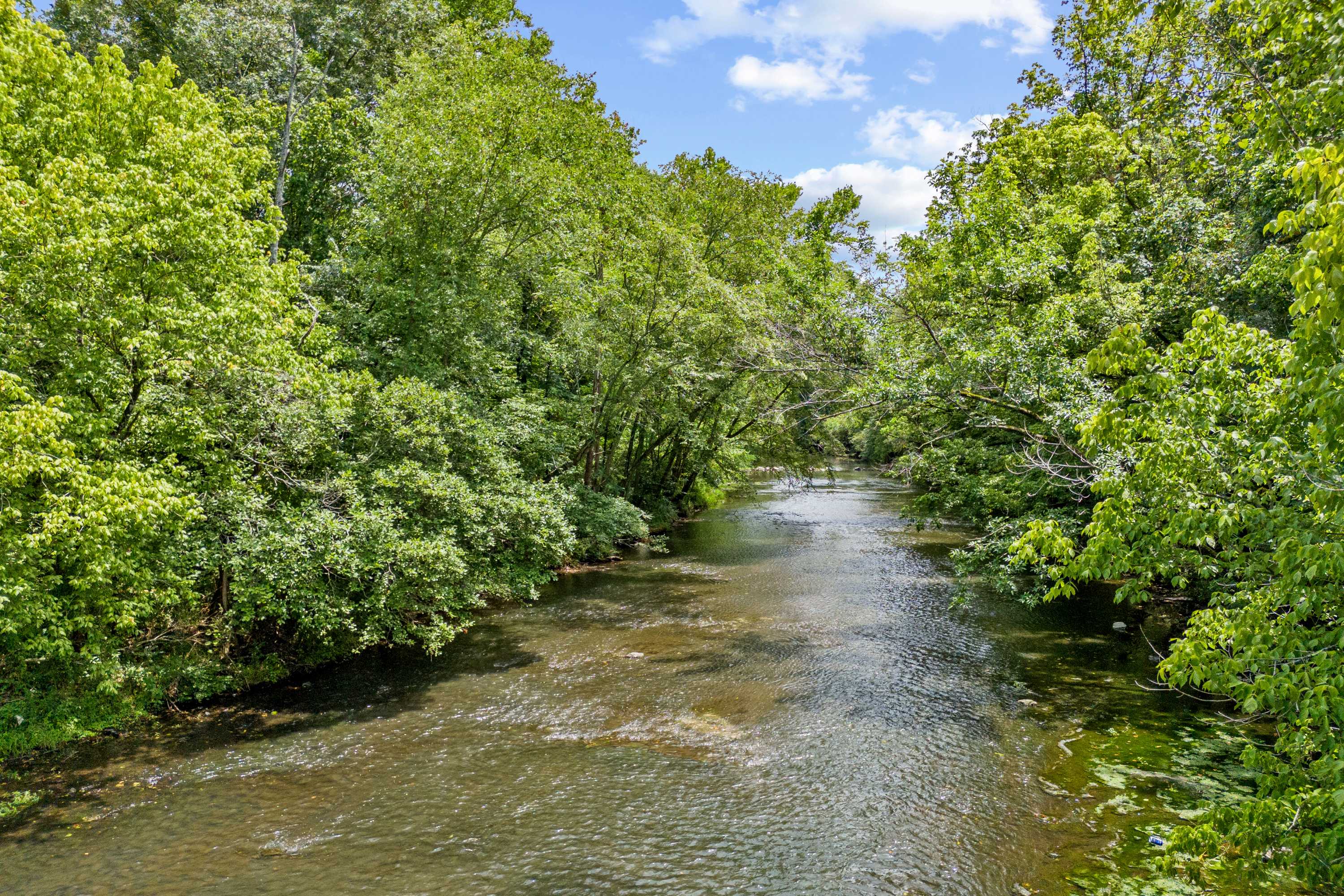 Serene creek flowing through lush green trees at The Meadows in Athens Alabama under partly cloudy skies