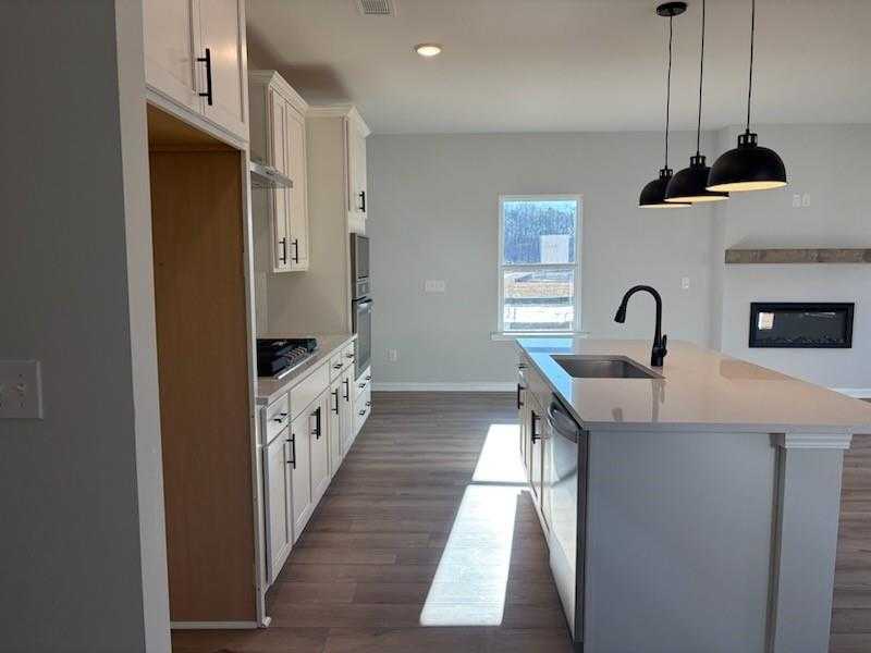 Modern open-concept kitchen with white shaker cabinets, quartz island sink, stainless dishwasher, and adjacent fireplace in Davidson Homes The Rabun C, Winder, GA
