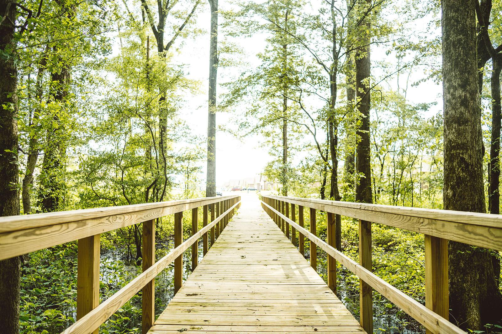 Davidson Homes' Bakers Farm Community Nature Preserve