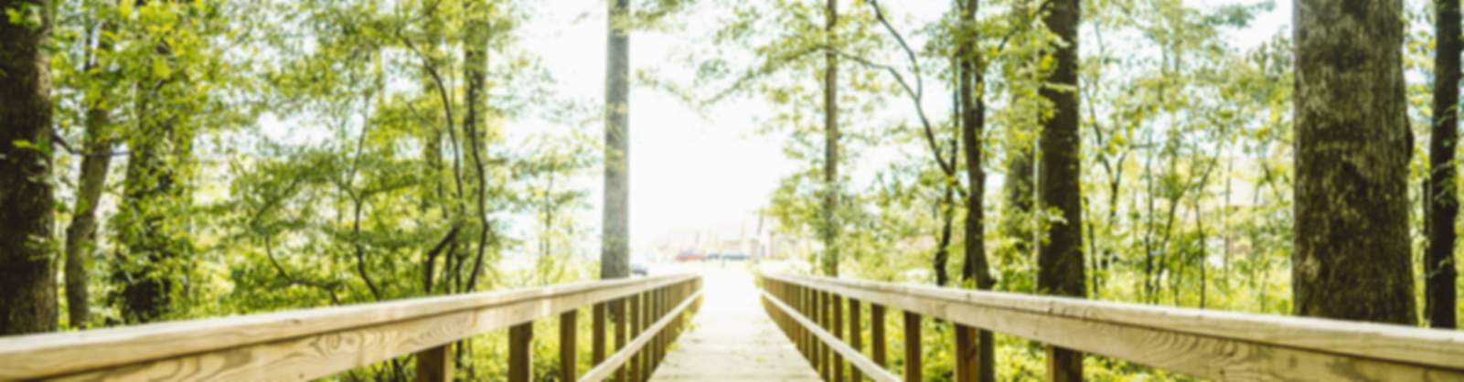 Sunlit wooden boardwalk winding through lush green trees in Priceville new home community