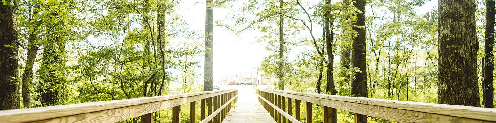 Sunlit wooden boardwalk winding through lush green trees in Priceville new home community