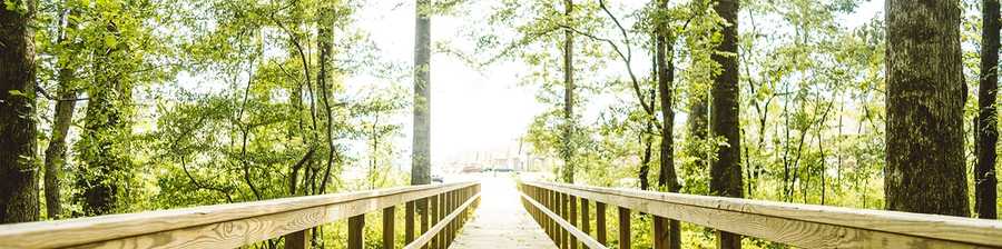 Priceville Skyline