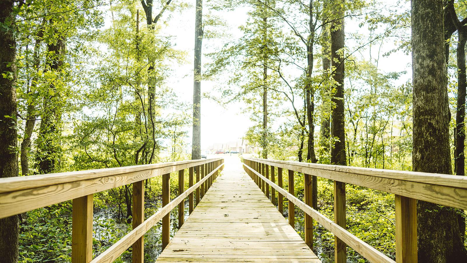 Davidson Homes' Bakers Farm Community Nature Preserve