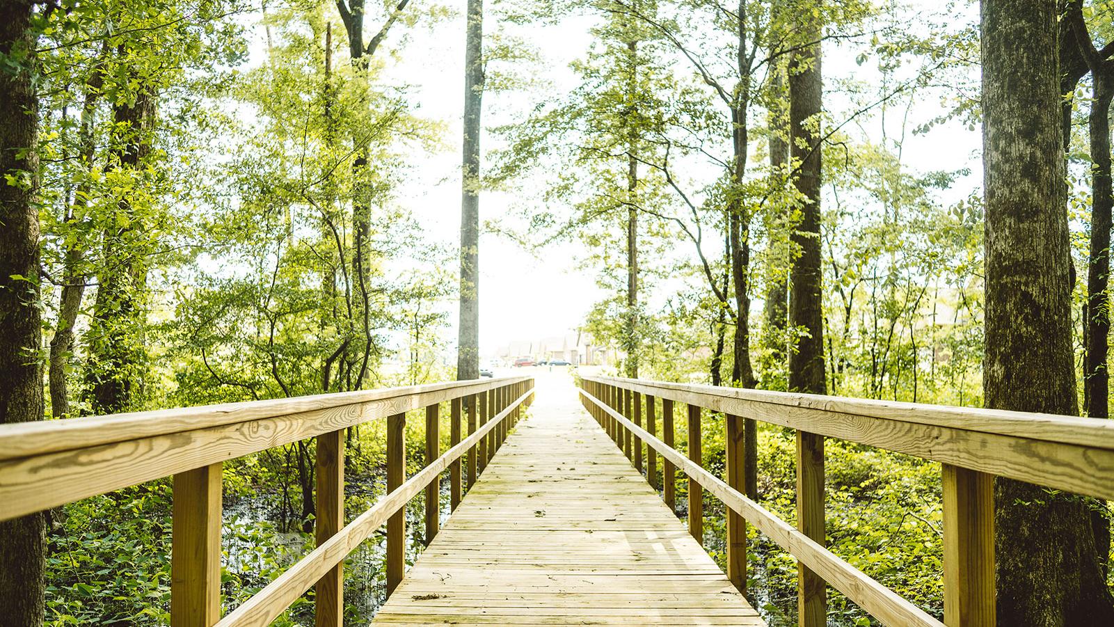 Neighborhood Spotlight: Priceville is the Place to be