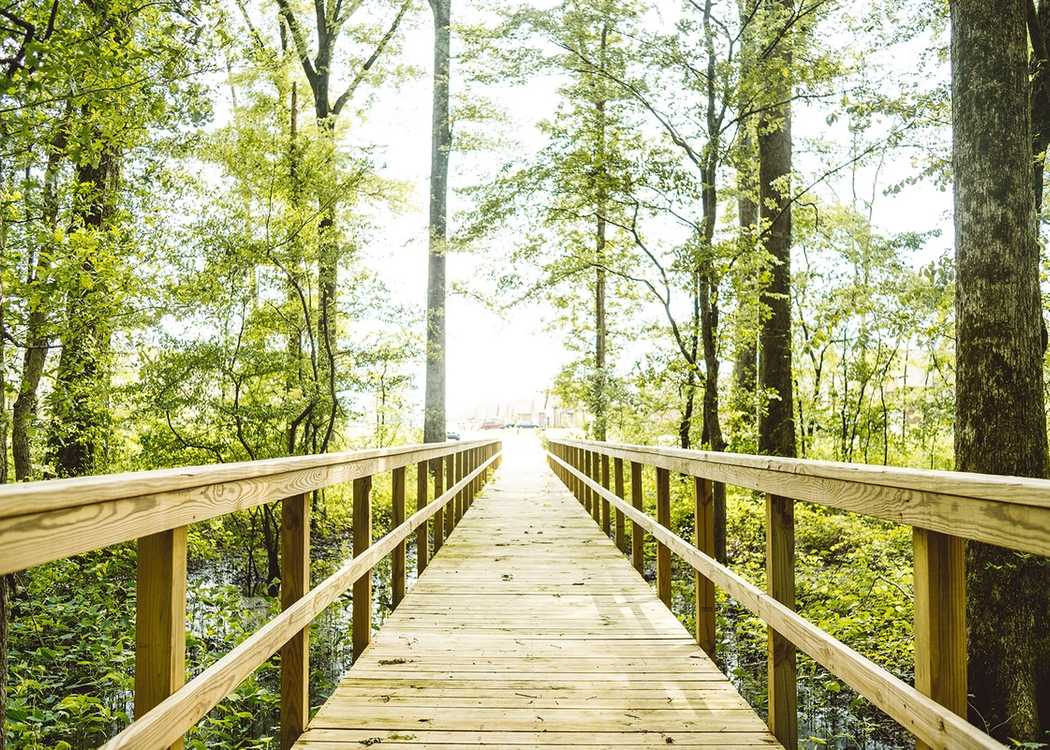 Davidson Homes' Bakers Farm Community Nature Preserve
